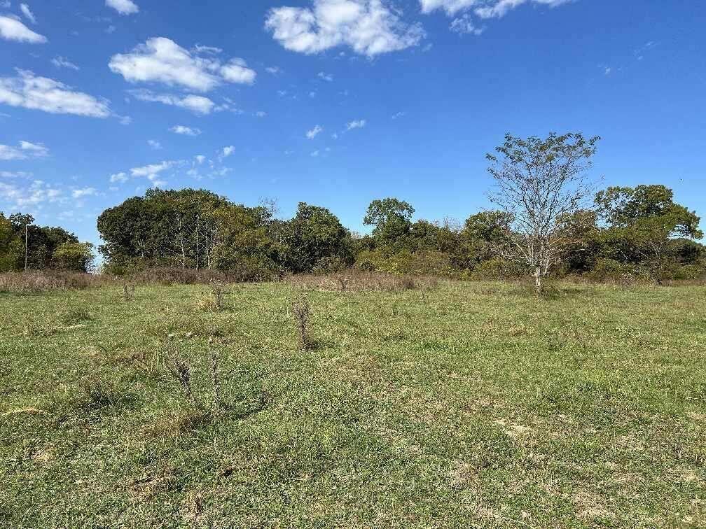 000 Date Drive Property Photo 4