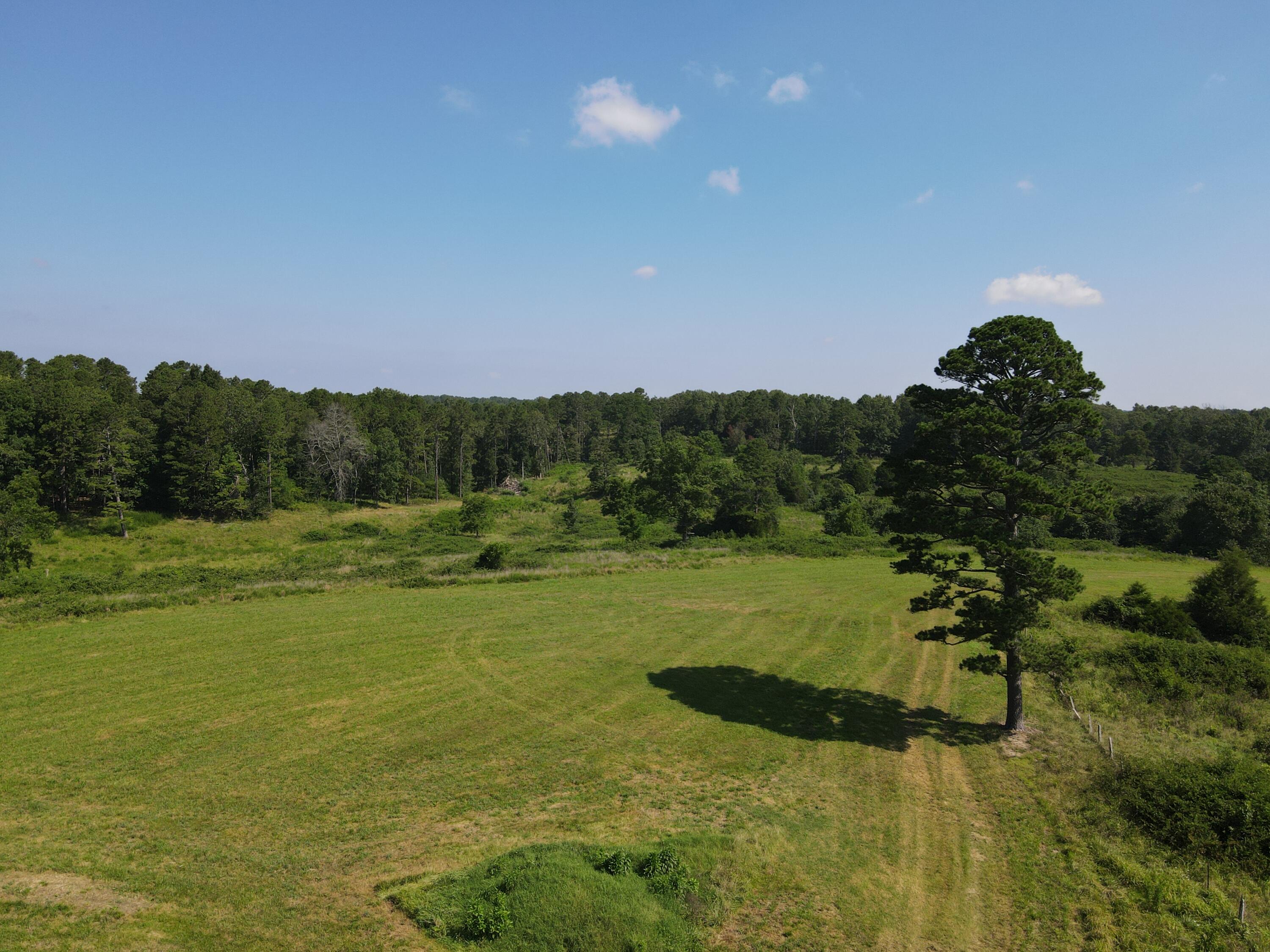 494 North T Highway Property Photo 8