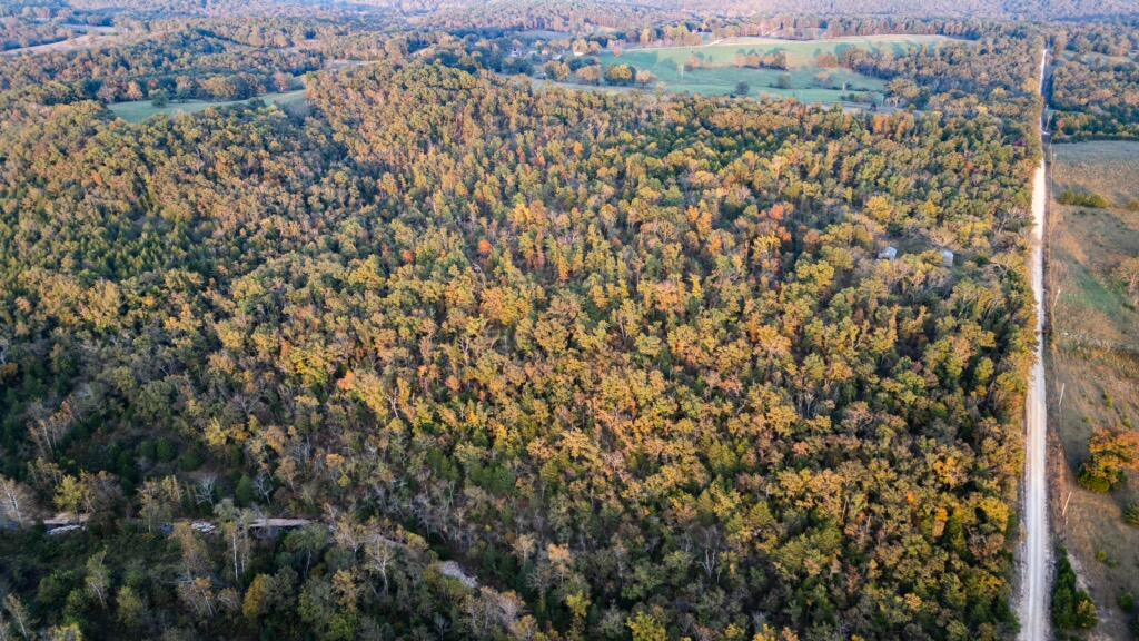 18927 Rocky Top Road Property Photo 2