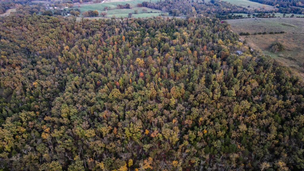 18927 Rocky Top Road Property Photo 5
