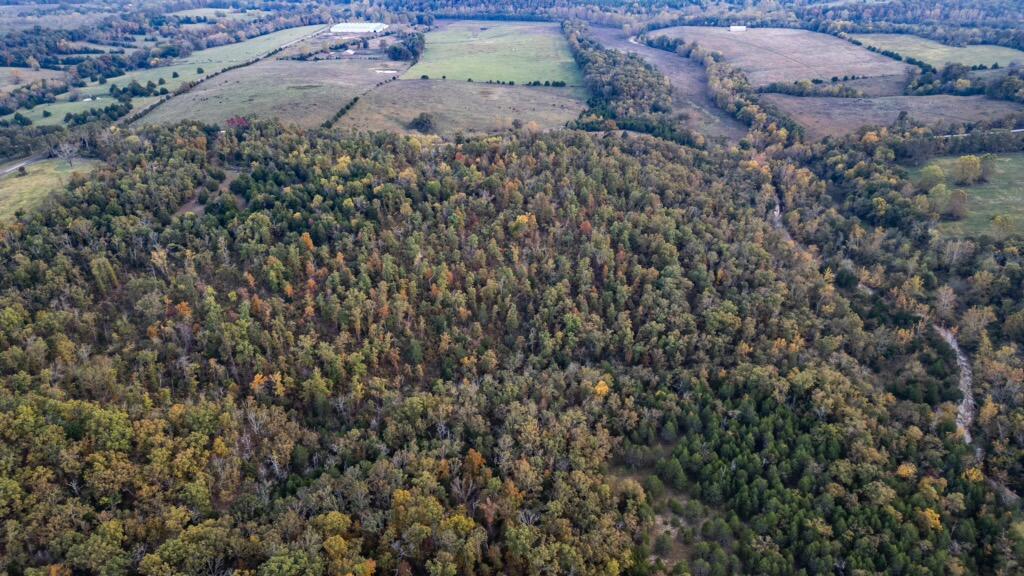 18927 Rocky Top Road Property Photo 6