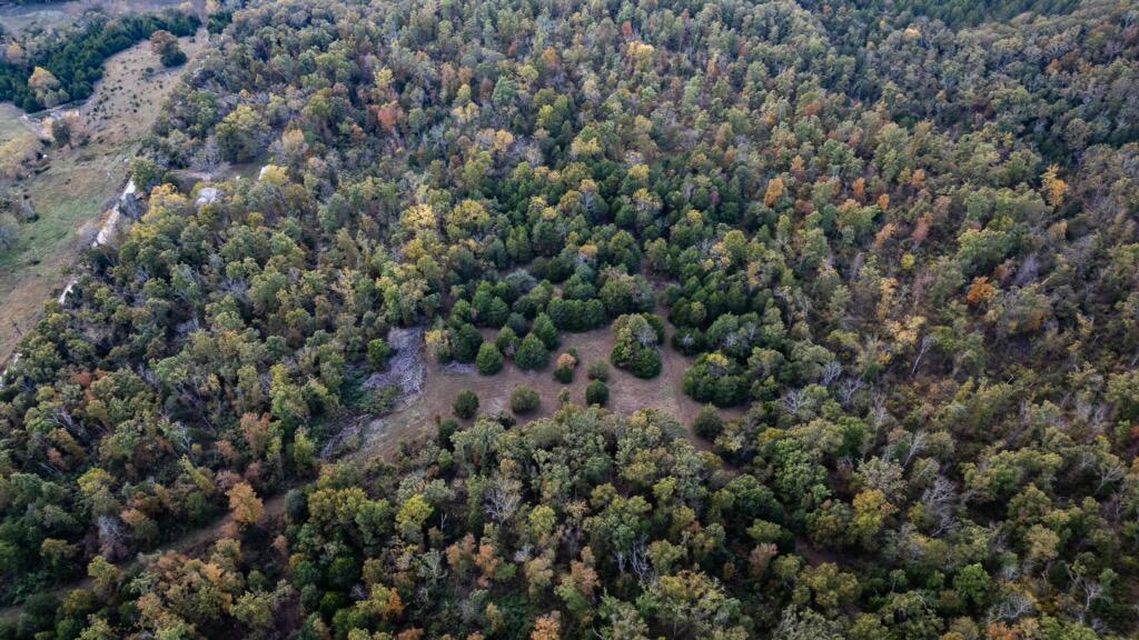 18927 Rocky Top Road Property Photo 7