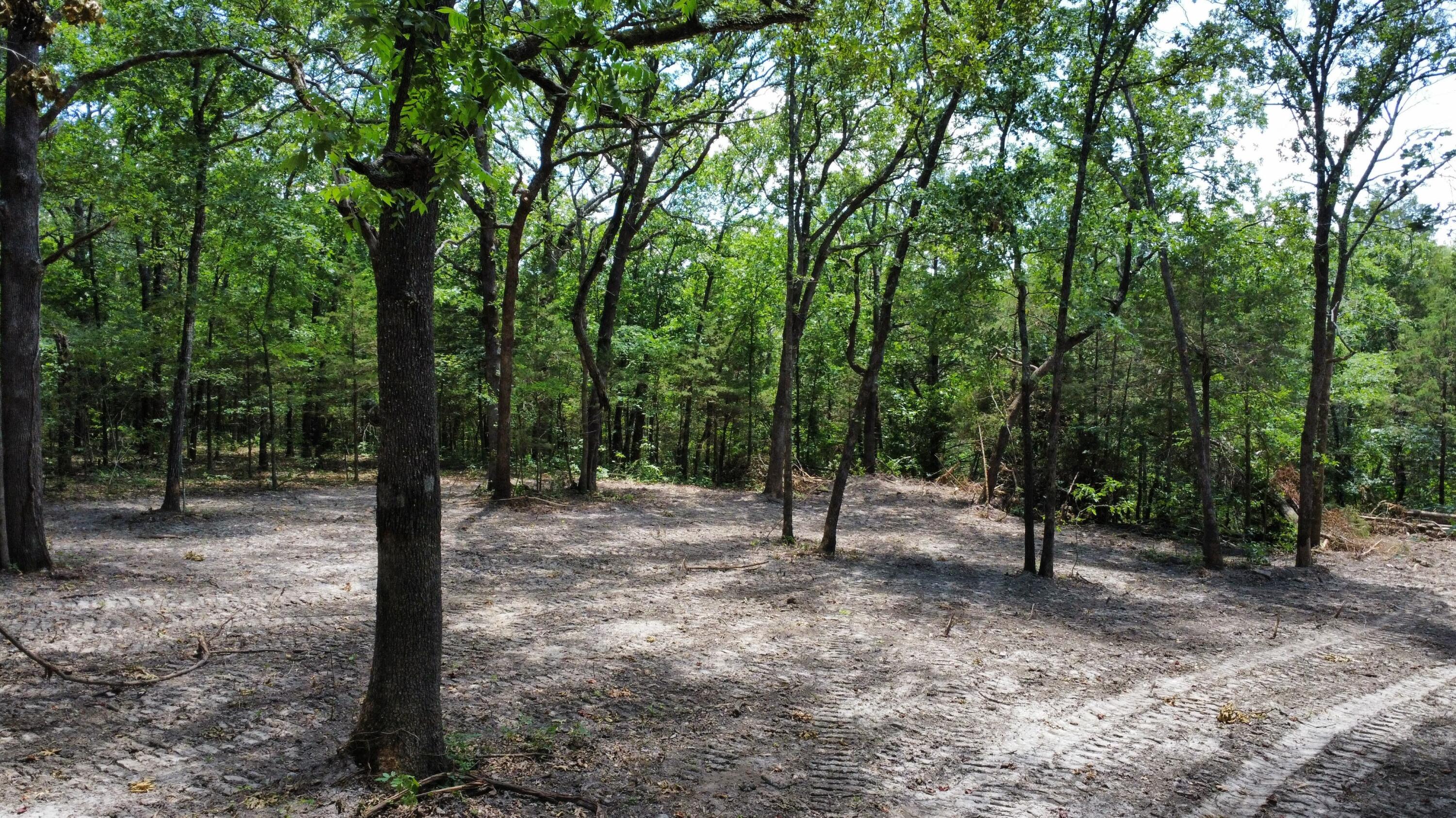 0 Wispy Trail Property Photo 5