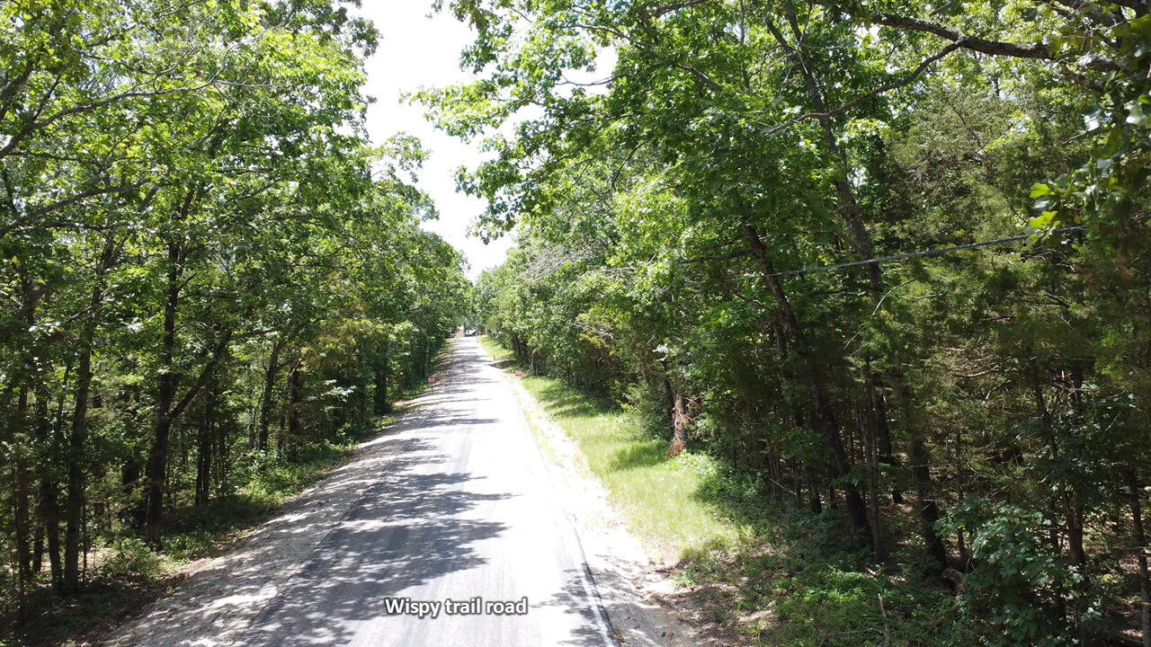 0 Wispy Trail Property Photo 7