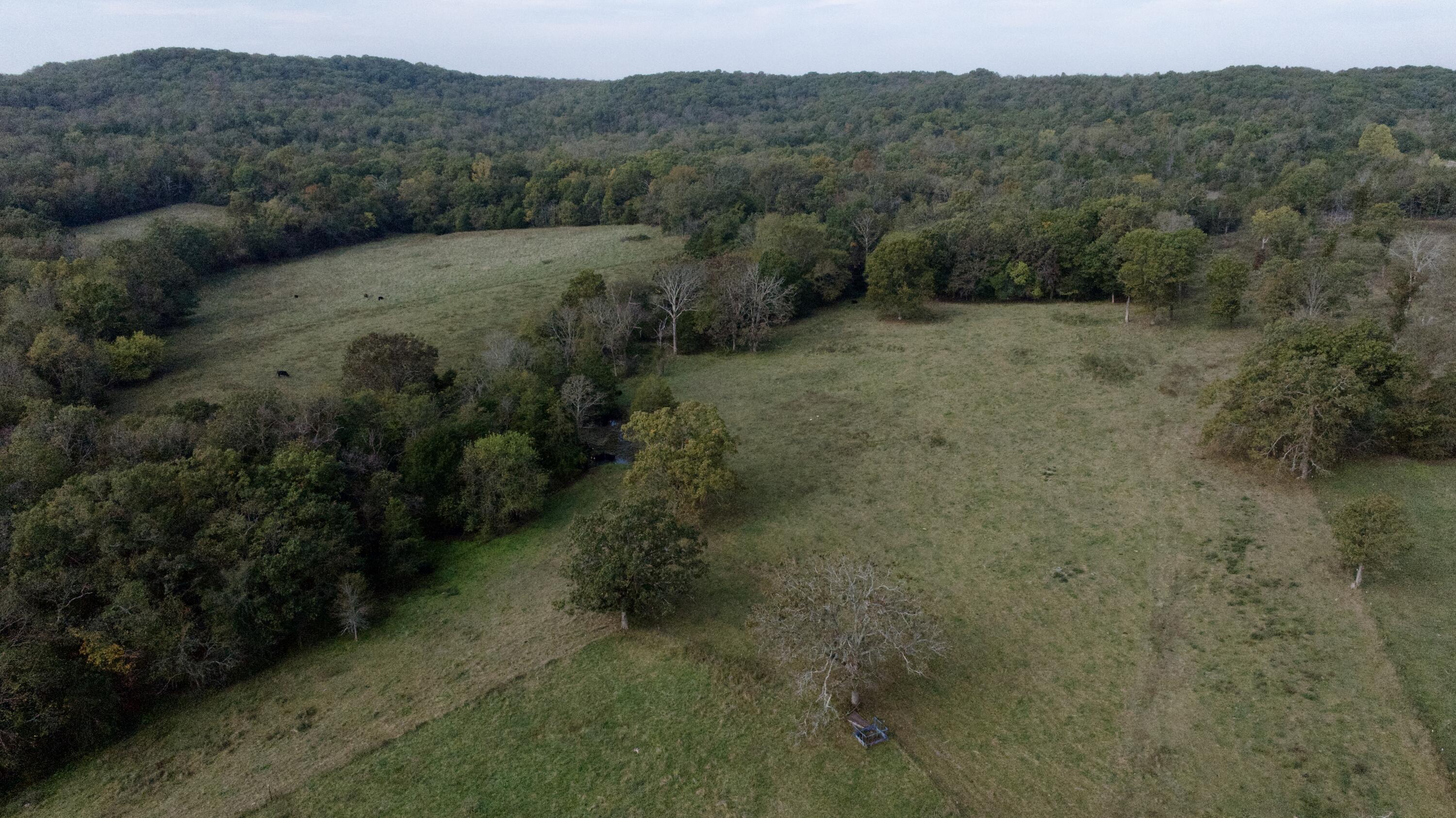 000 Hwy 125 Property Photo 2