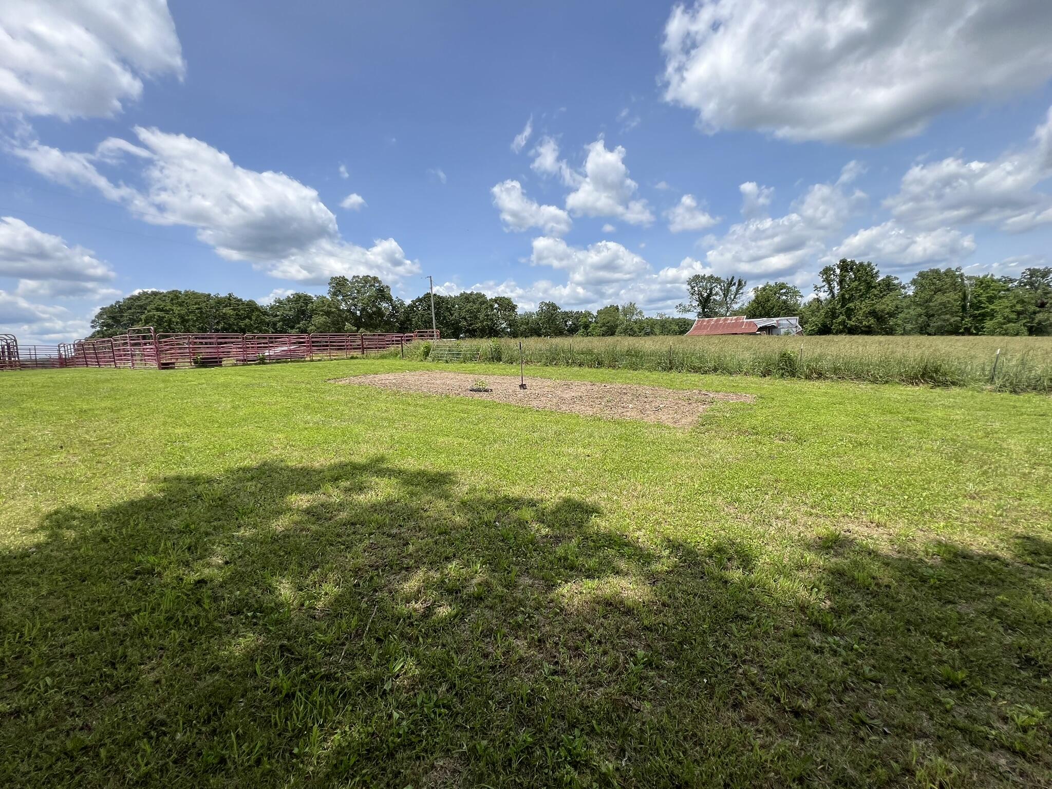 4117 County Road 2600 Property Photo 7