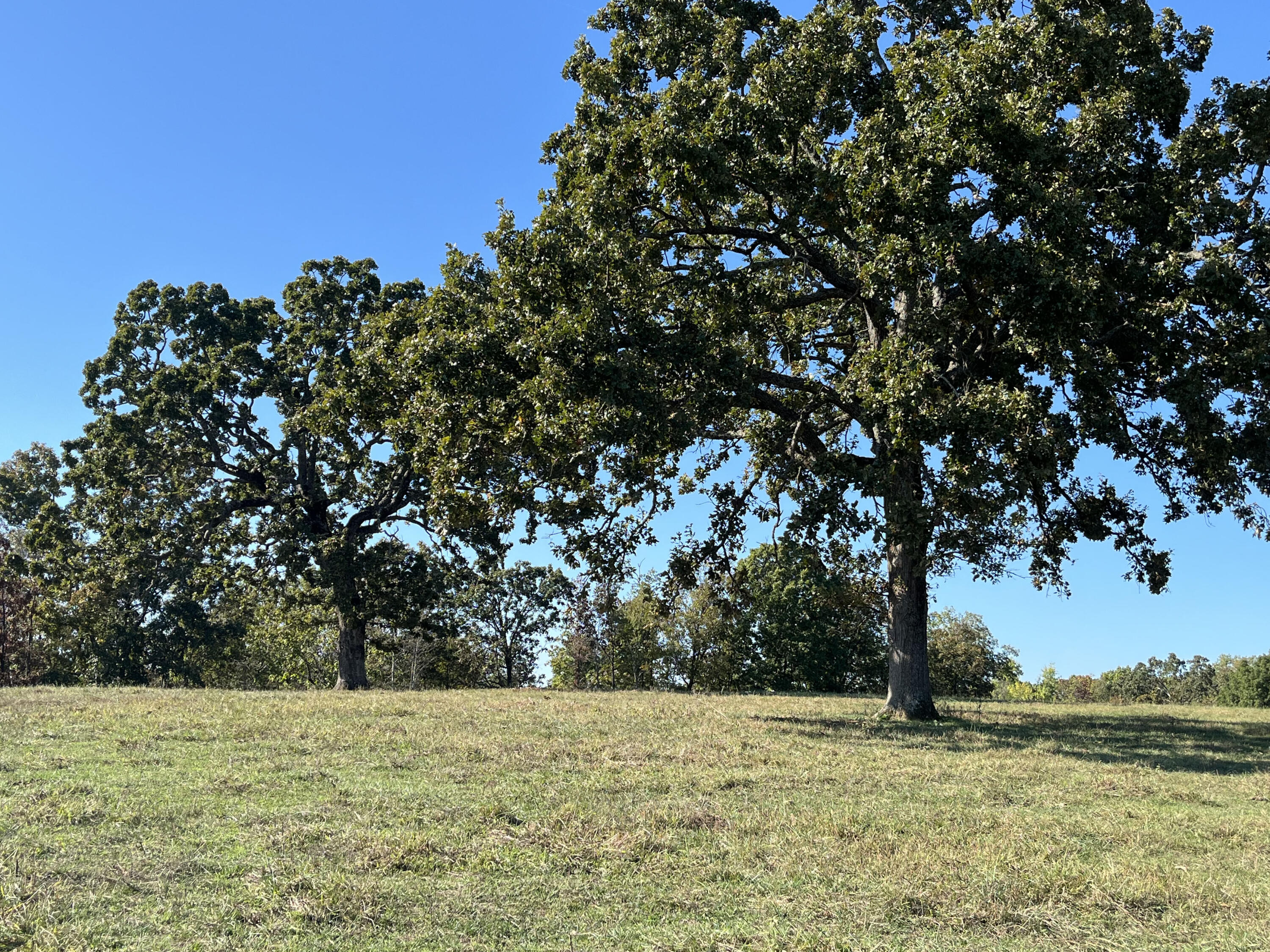 000 County Road 113 Property Photo 1