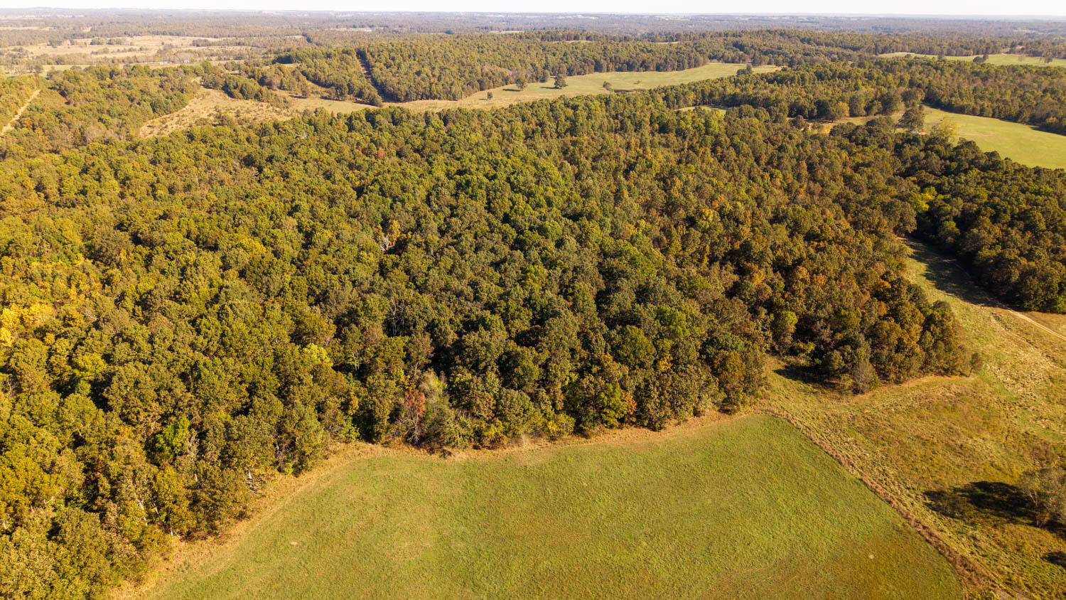 Tbd Private Road 9951 Property Photo 1