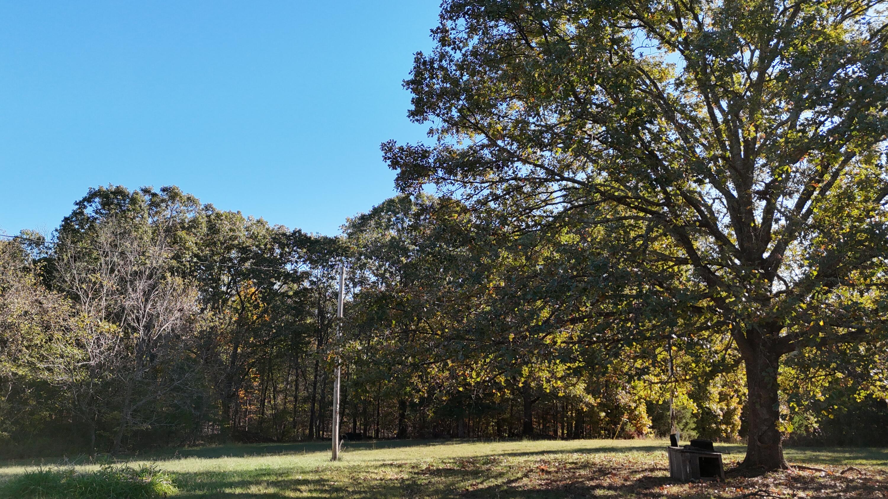 6399 Garner Road Road Property Photo 5