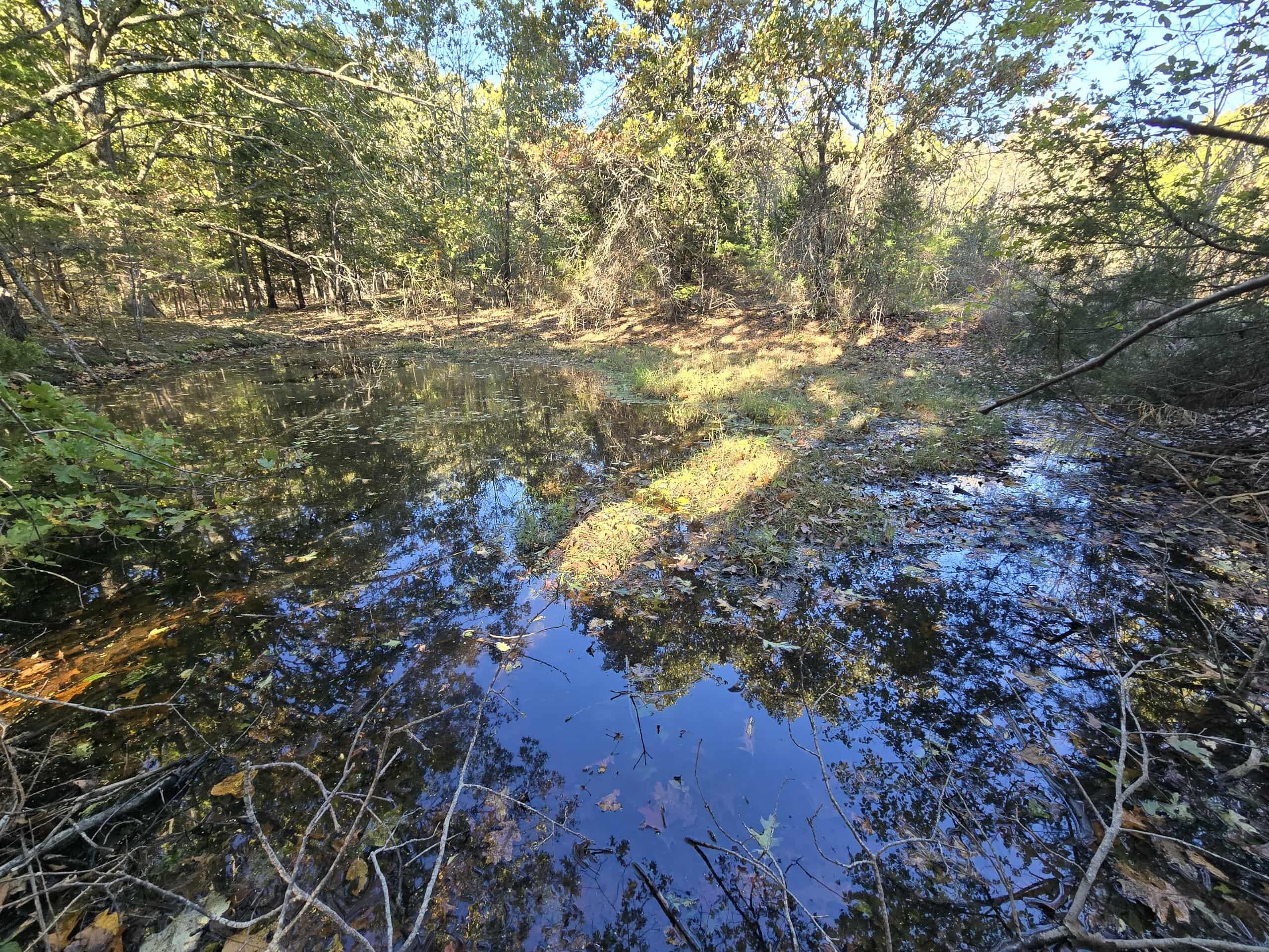 6399 Garner Road Road Property Photo 7