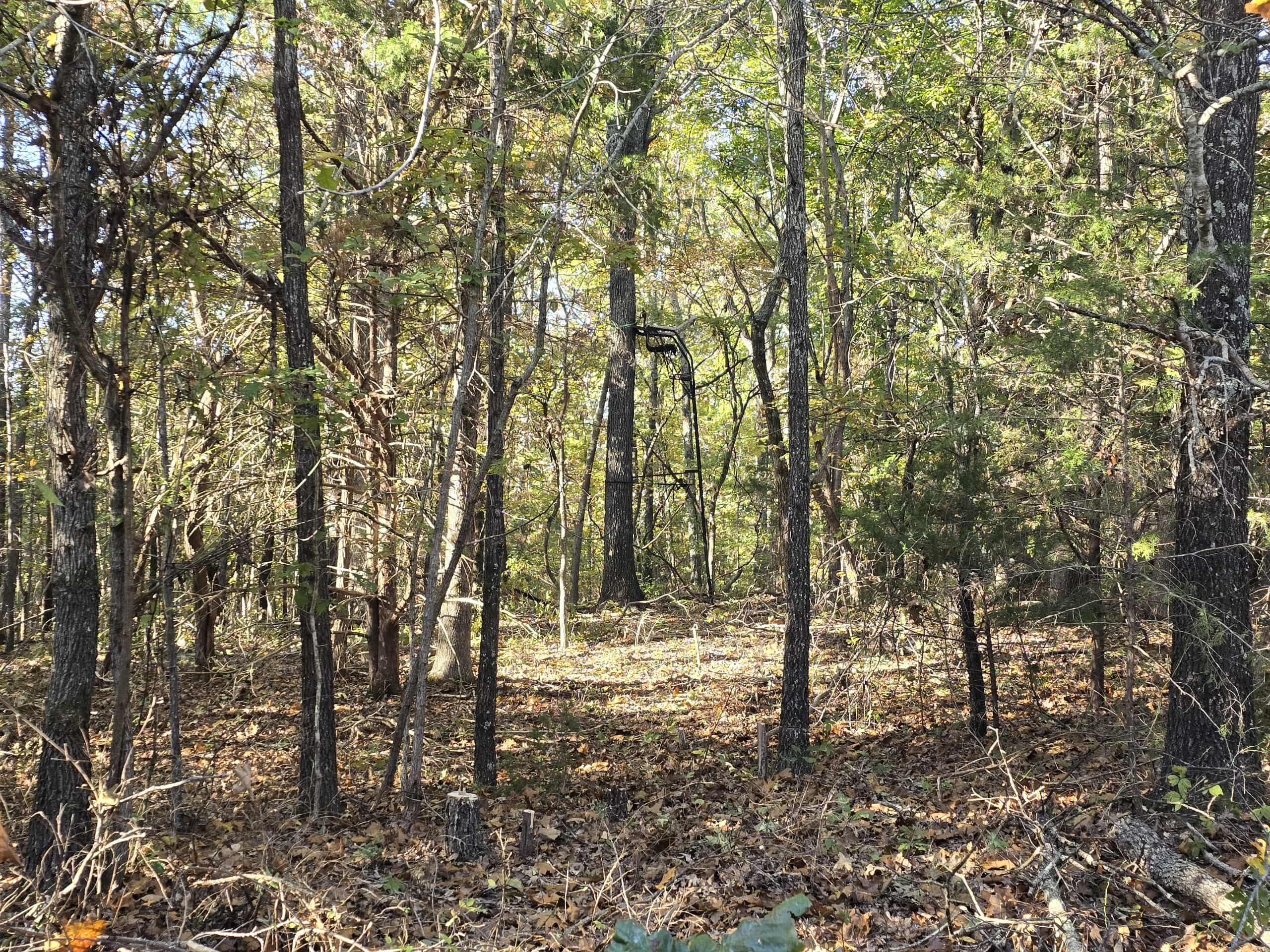 6399 Garner Road Road Property Photo 8