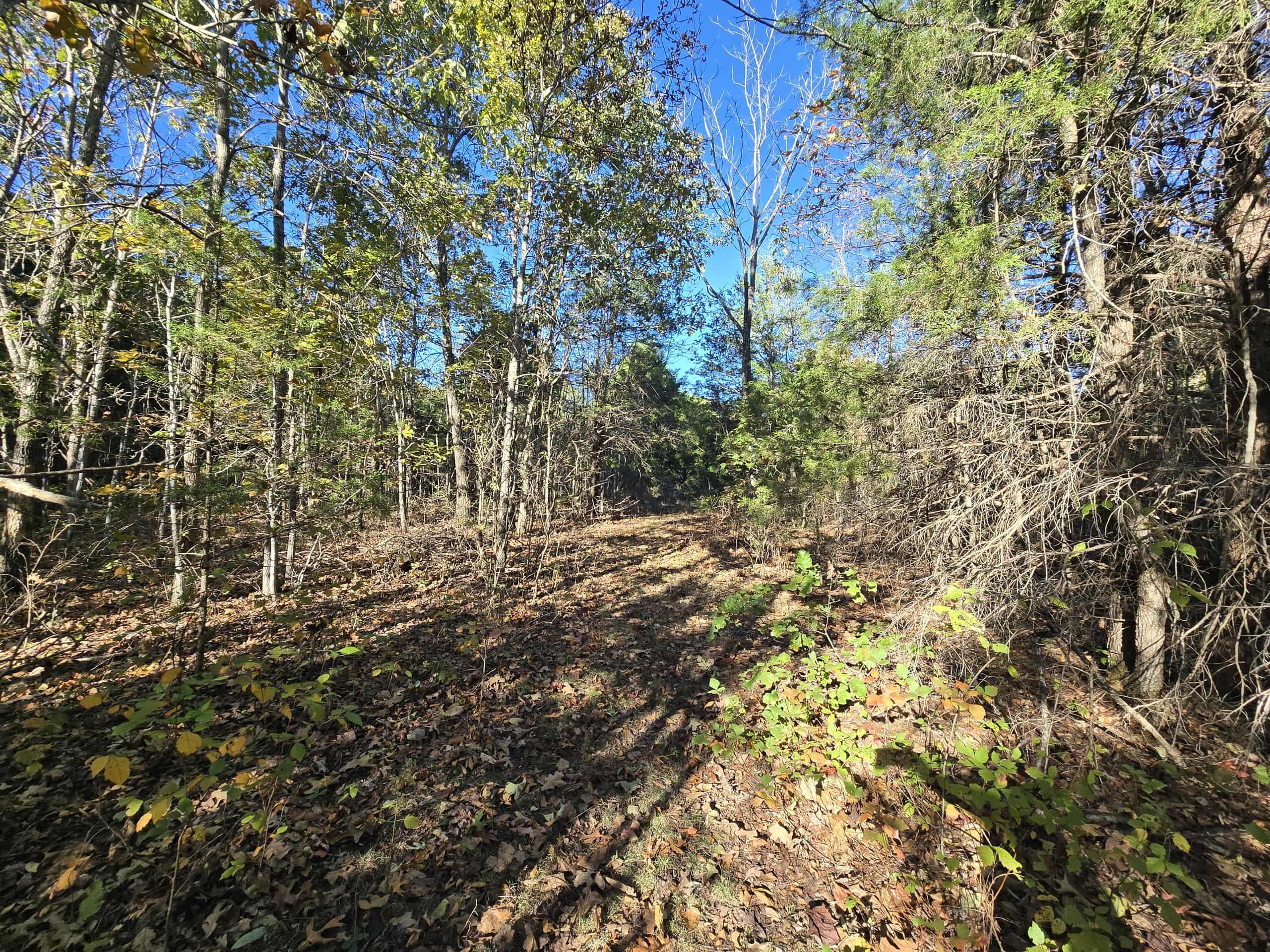 6399 Garner Road Road Property Photo 9