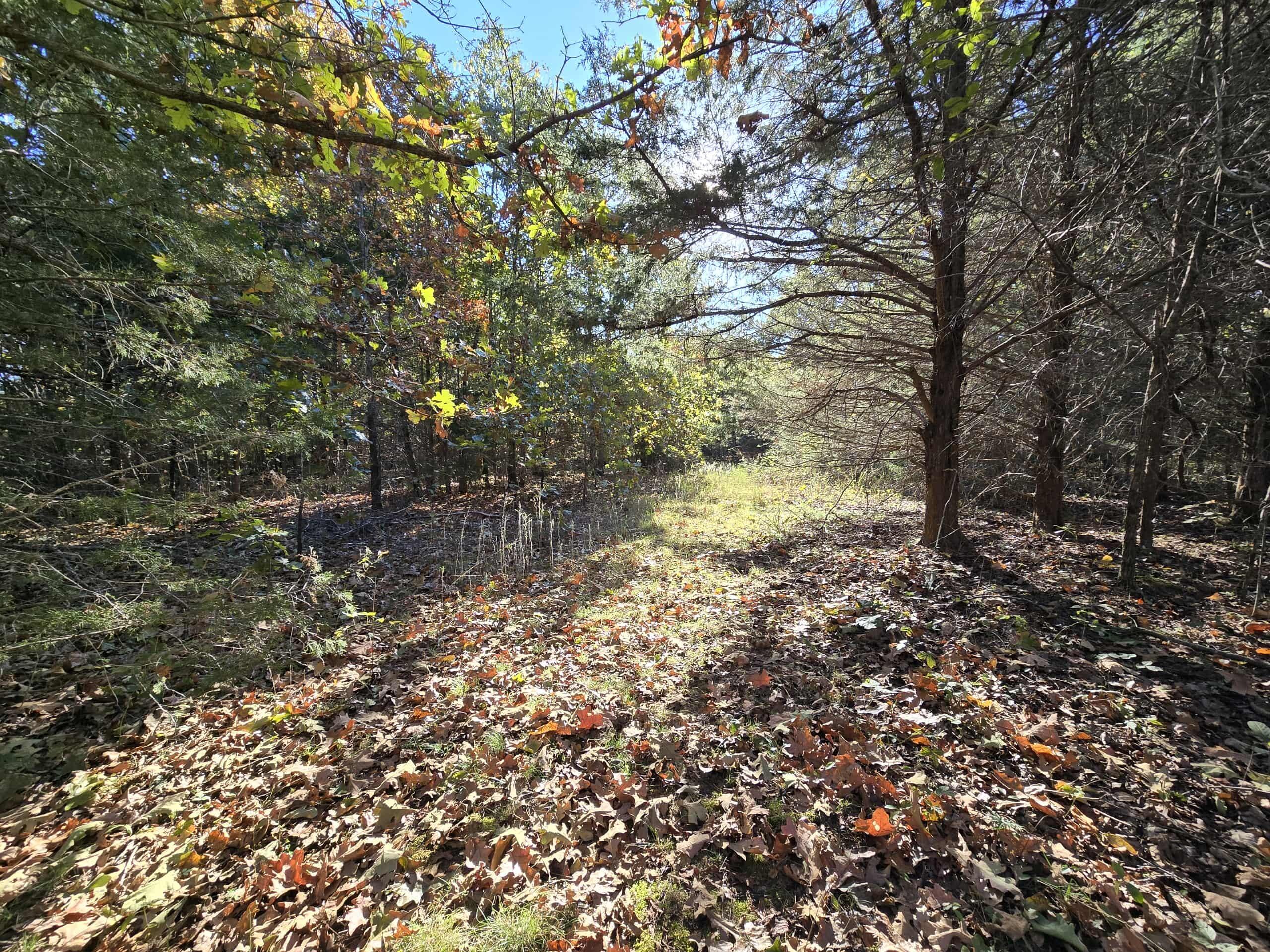 6399 Garner Road Road Property Photo 11