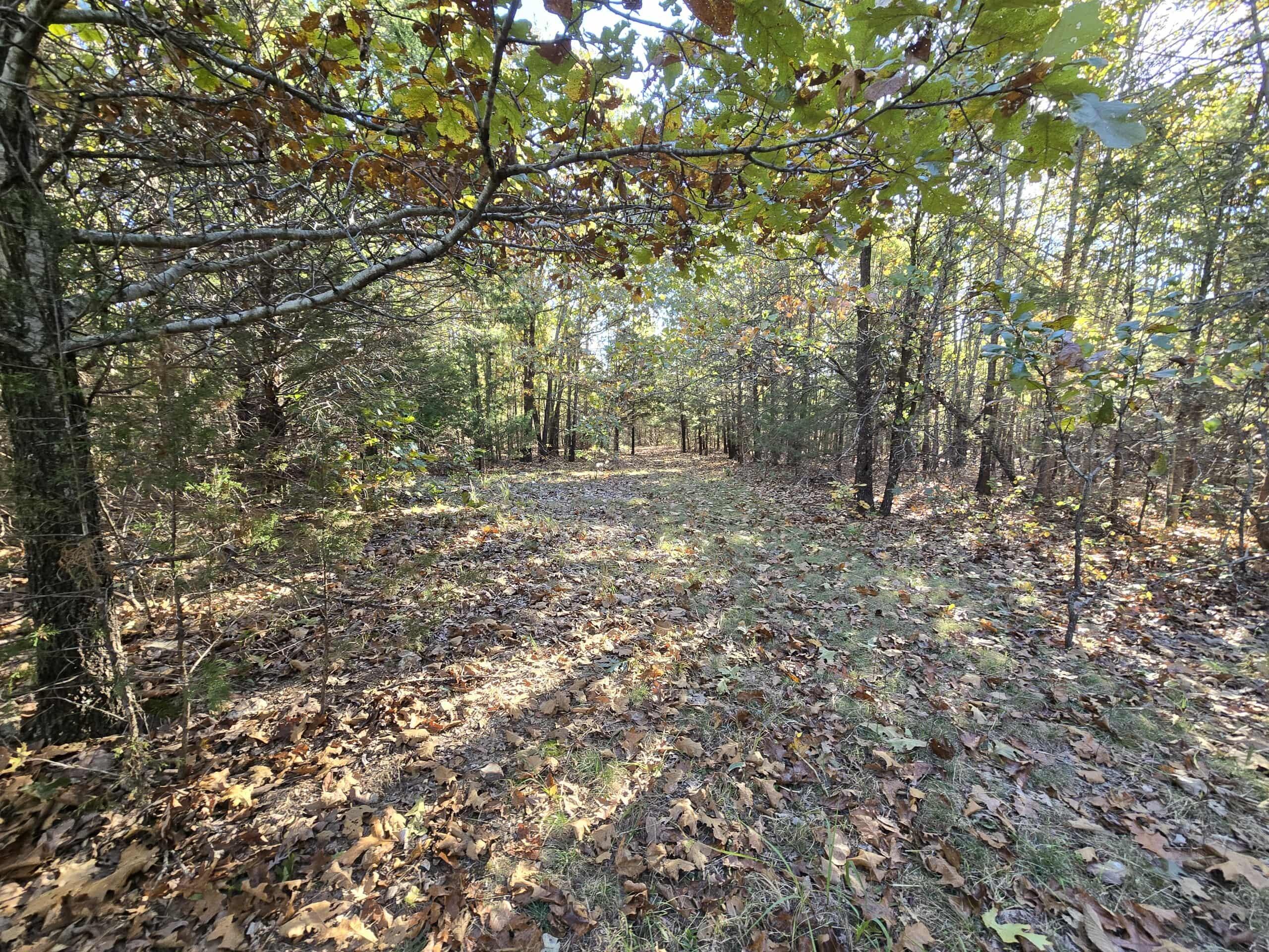 6399 Garner Road Road Property Photo 12