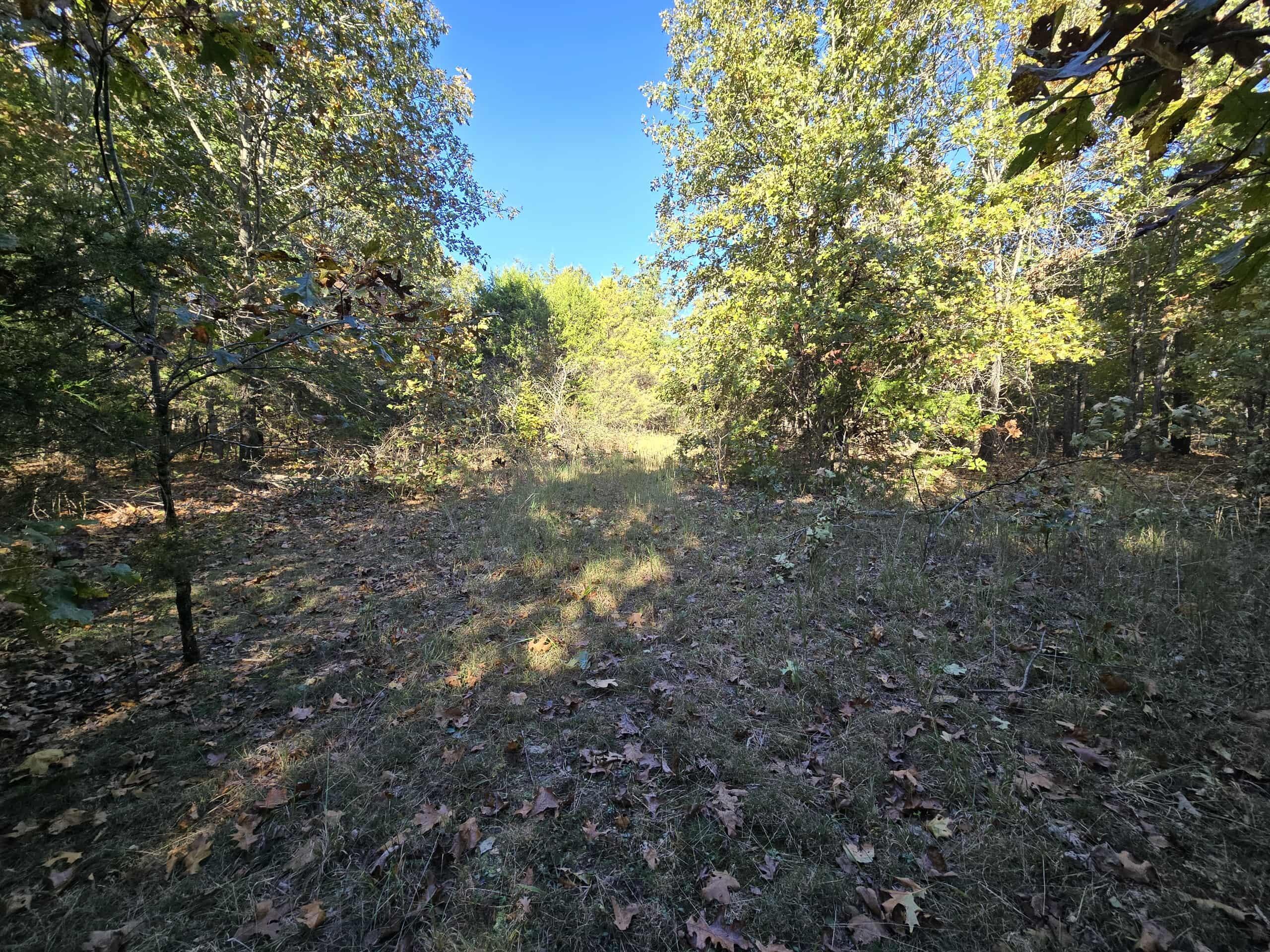 6399 Garner Road Road Property Photo 13