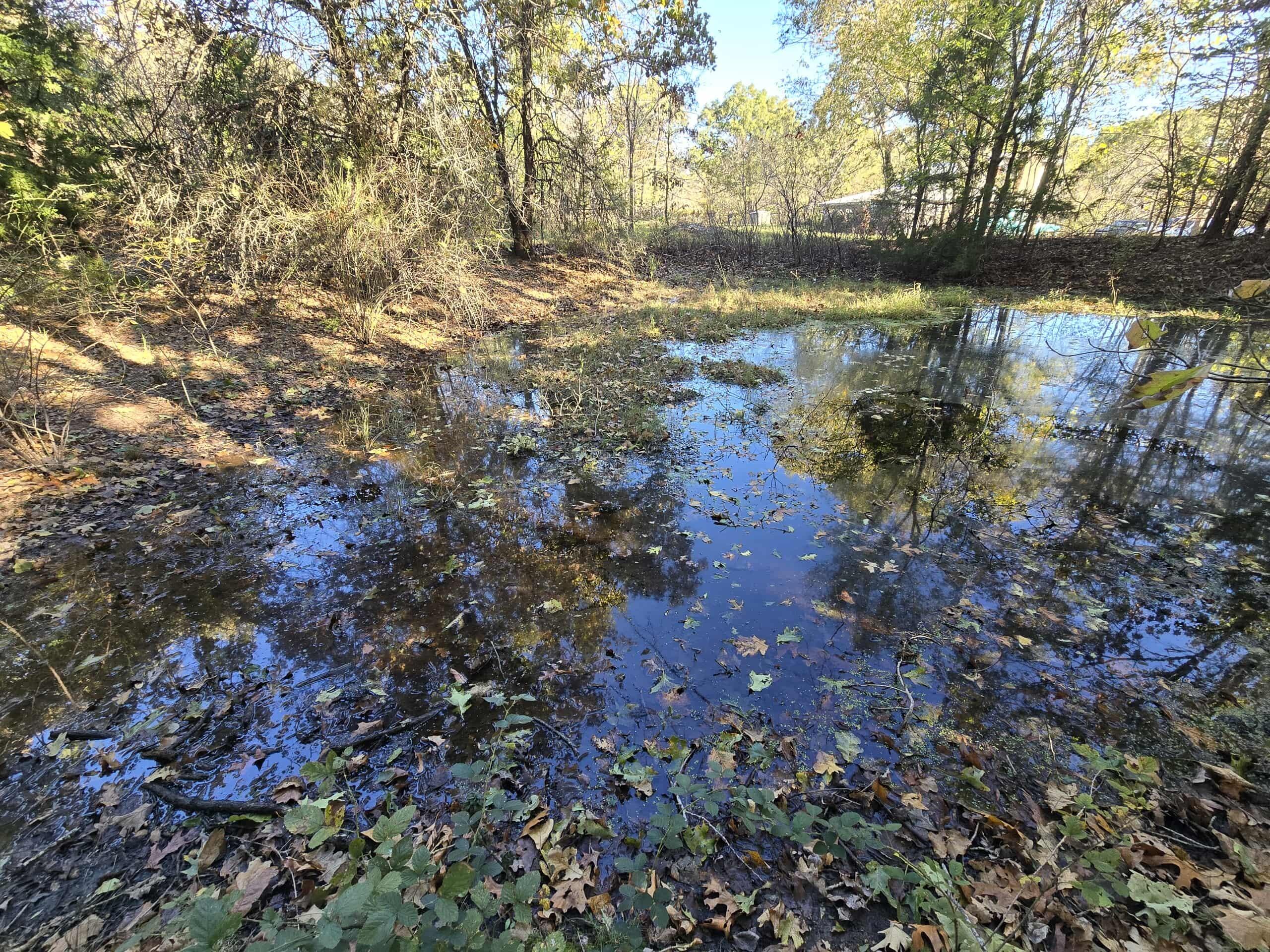 6399 Garner Road Road Property Photo 15