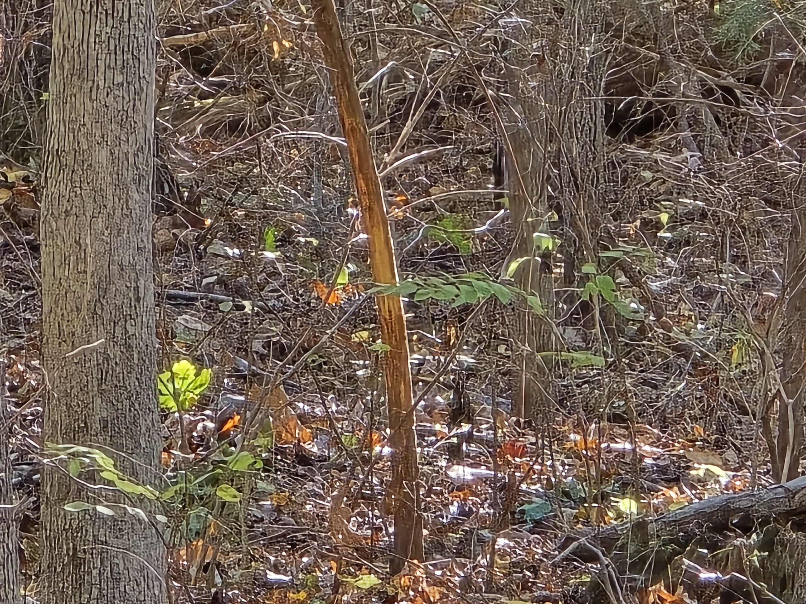 6399 Garner Road Road Property Photo 16