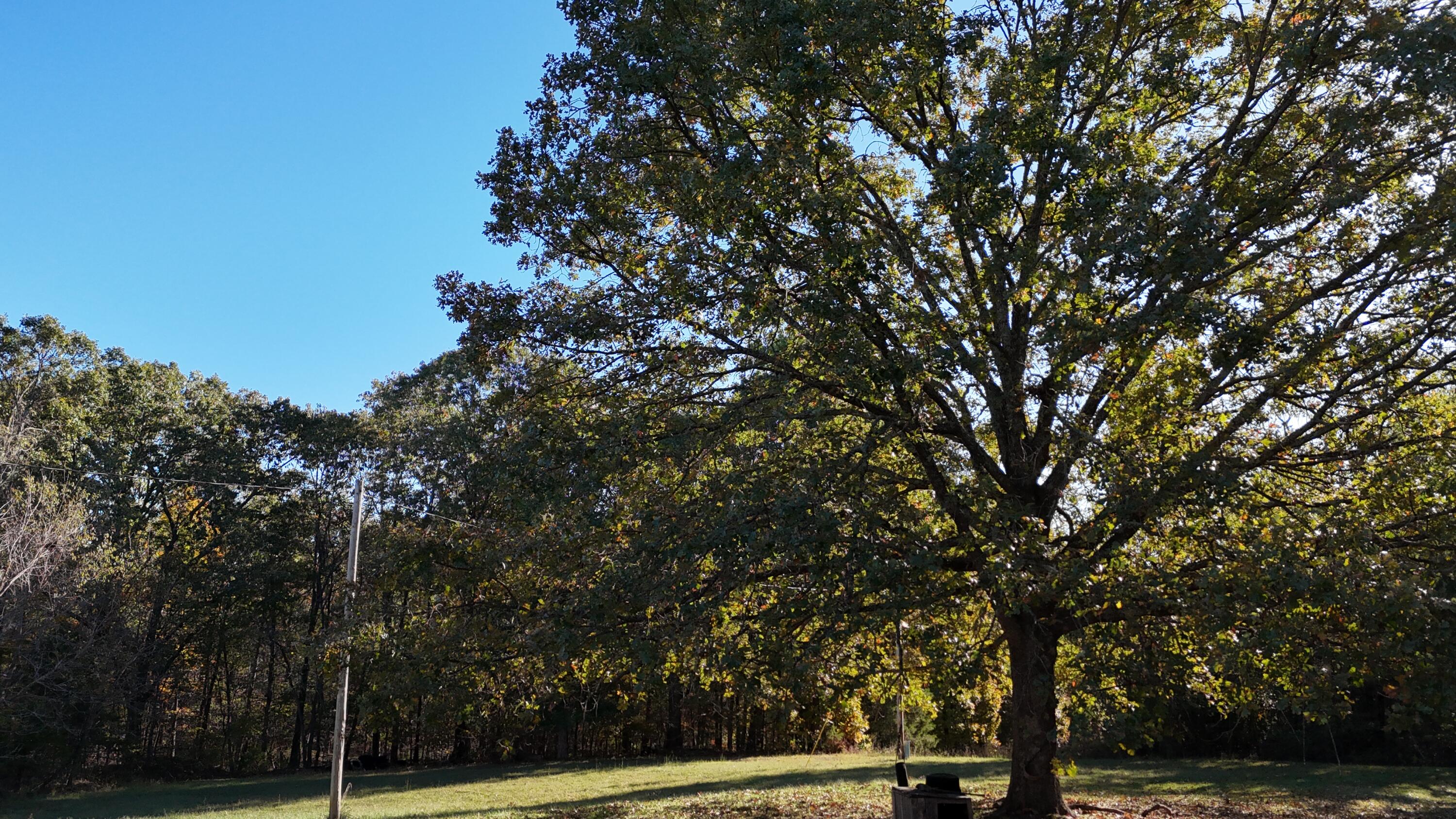 6399 Garner Road Road Property Photo 18