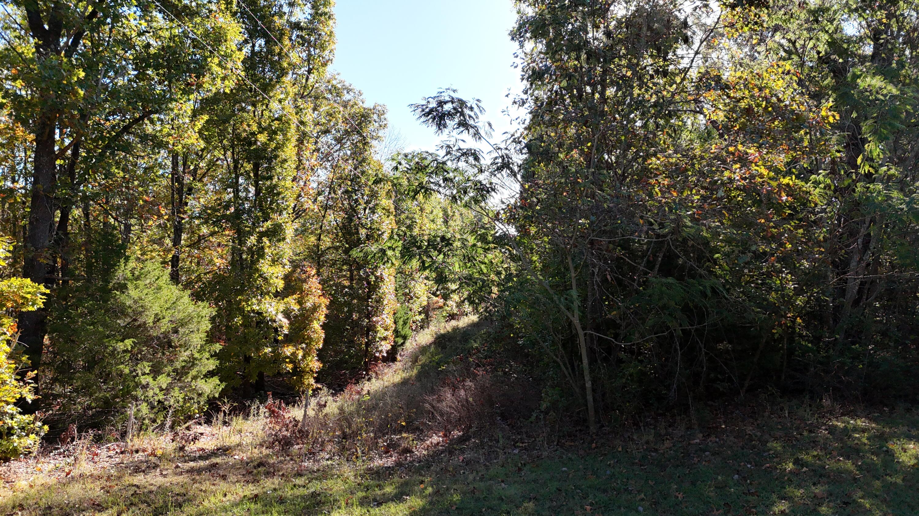 6399 Garner Road Road Property Photo 25