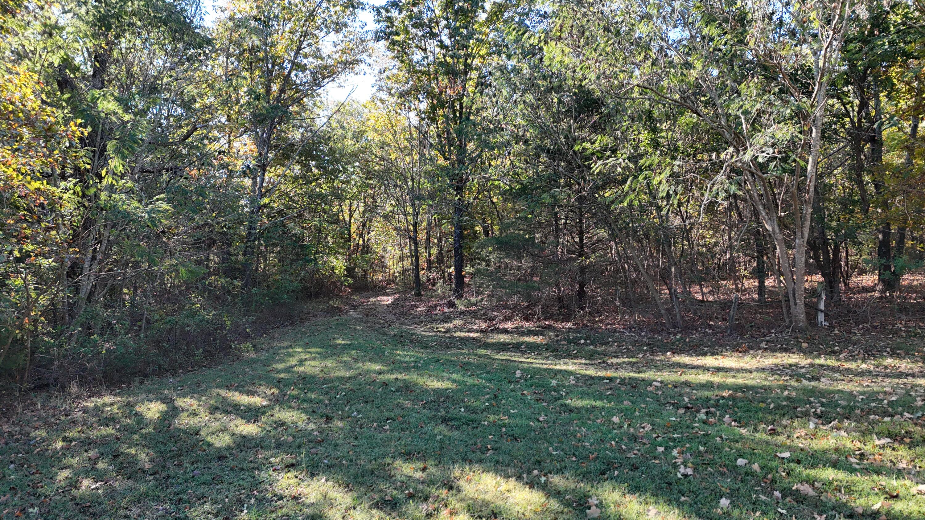 6399 Garner Road Road Property Photo 26