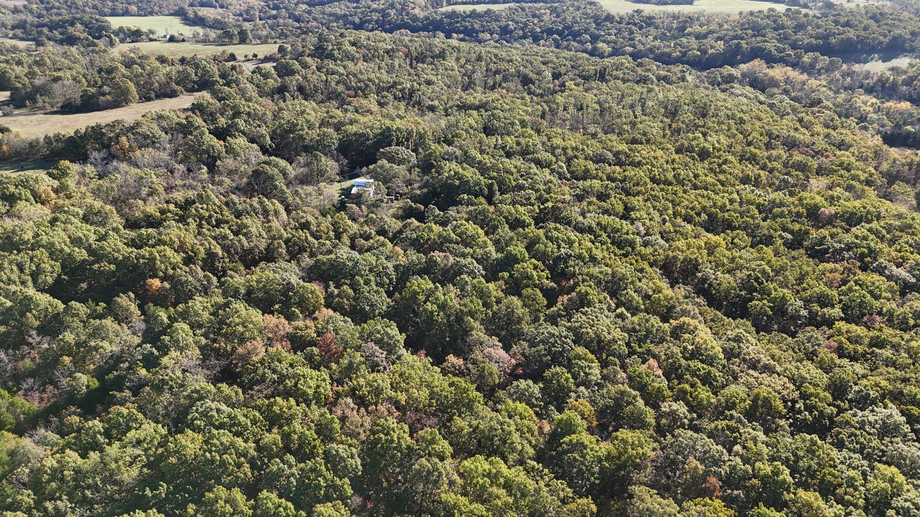 6399 Garner Road Road Property Photo 32