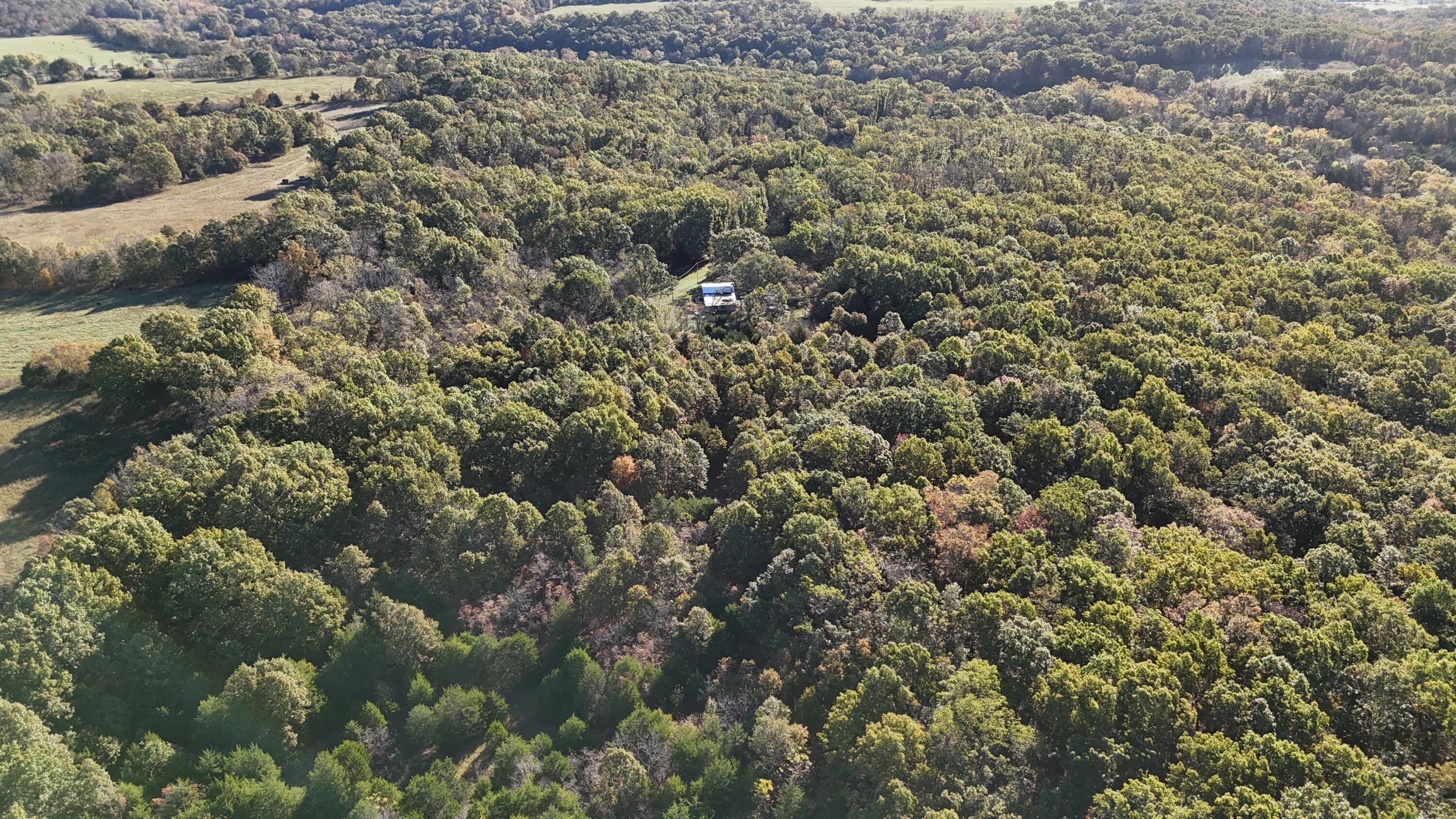 6399 Garner Road Road Property Photo 33