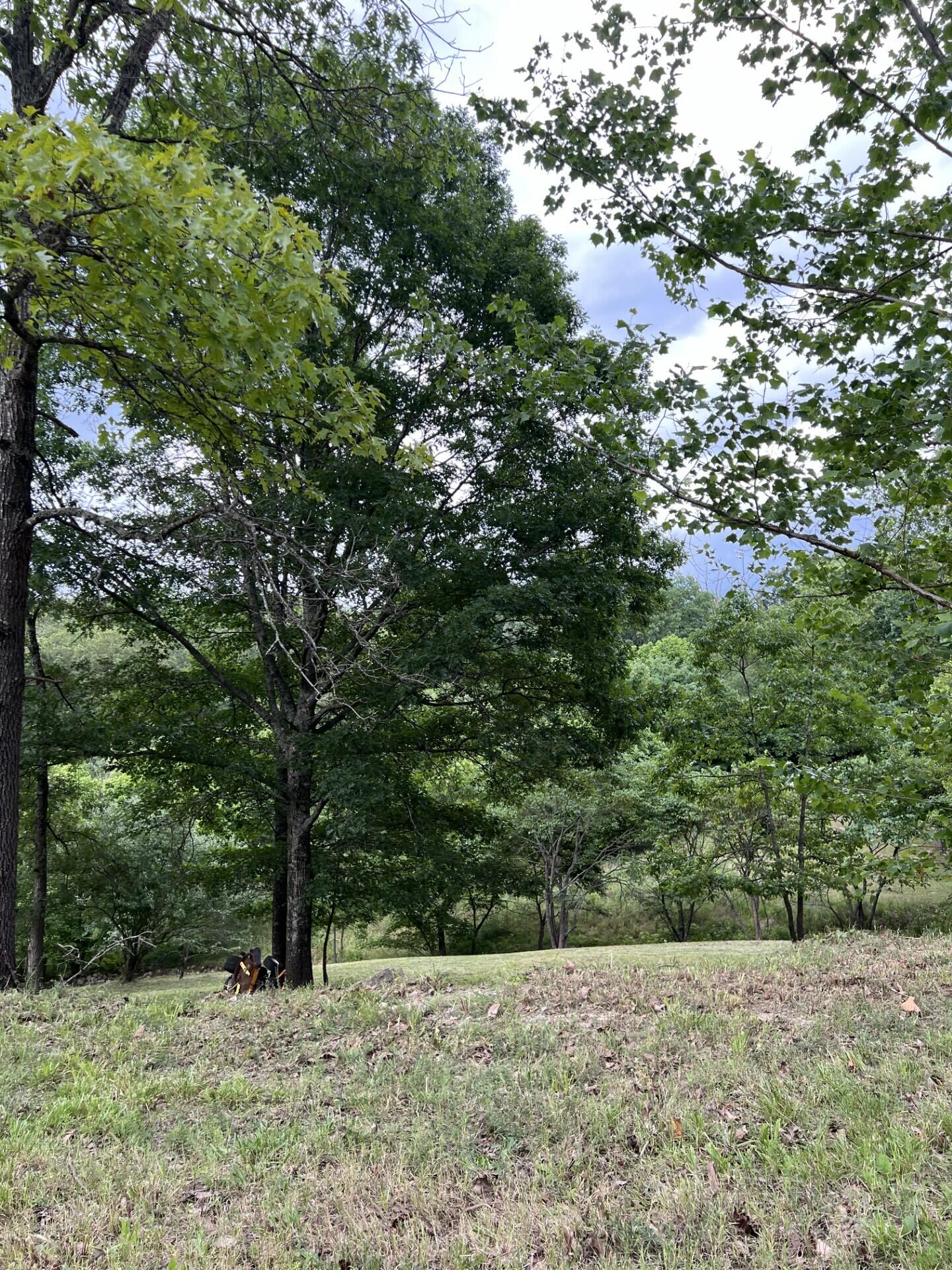000 Vin Villa Property Photo 2