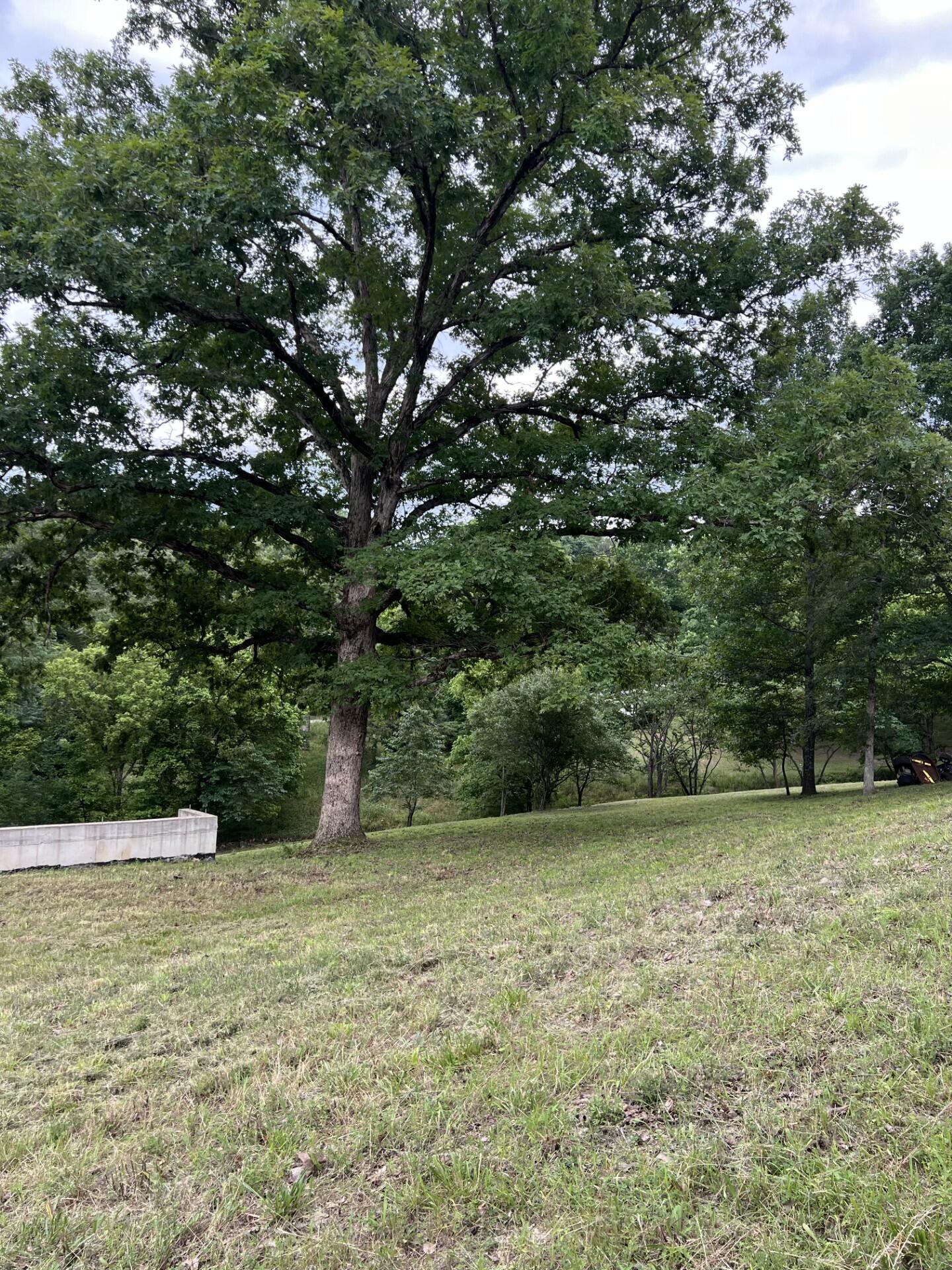 000 Vin Villa Property Photo 3