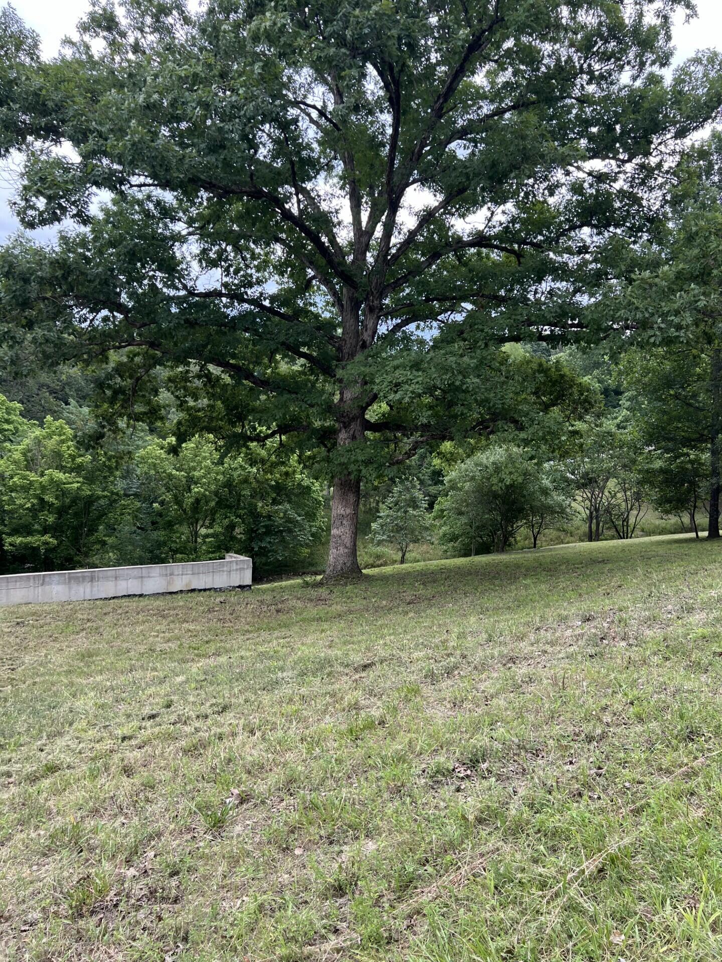 000 Vin Villa Property Photo 11