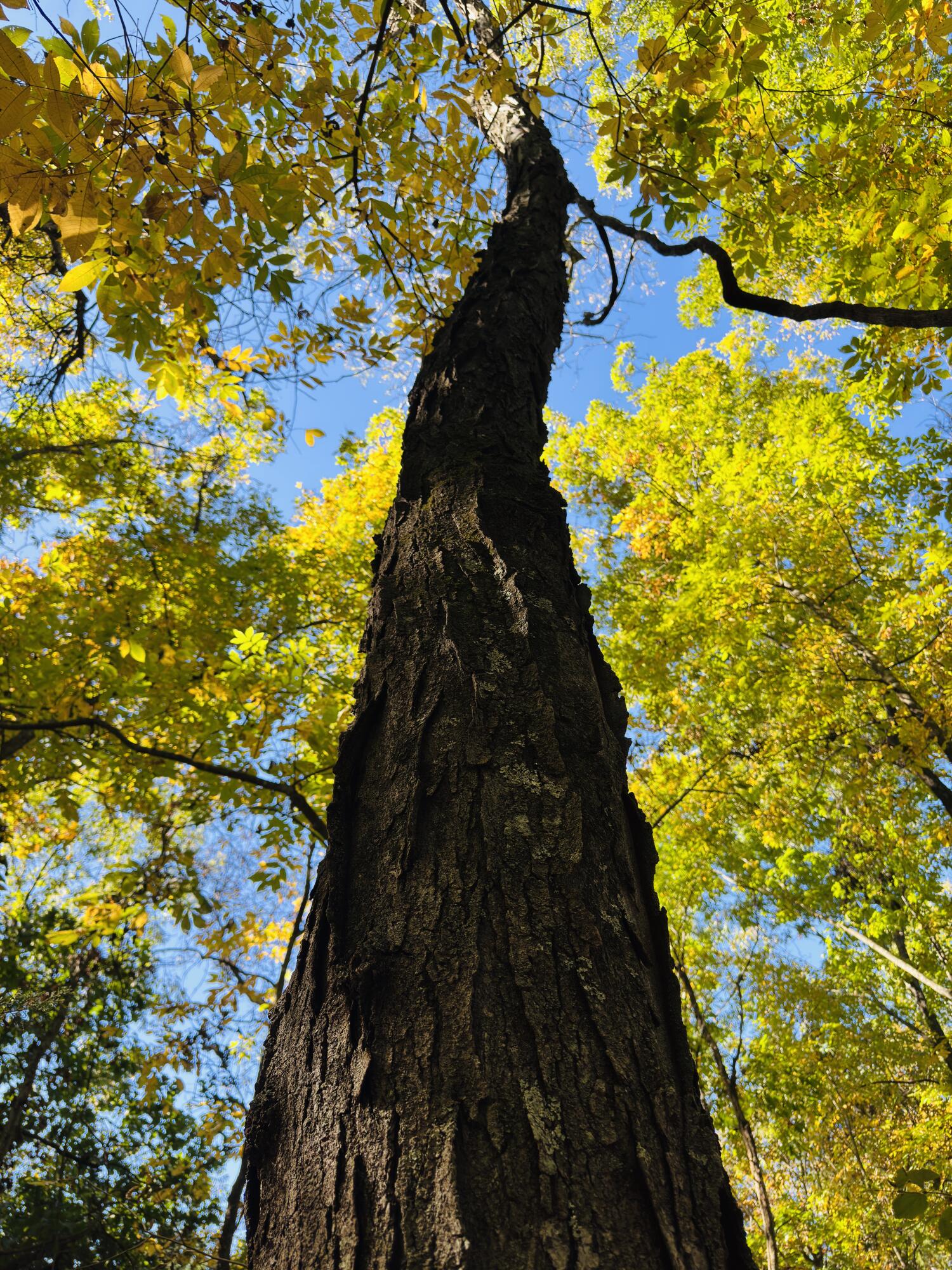 01a East Dade 12 Property Photo 1