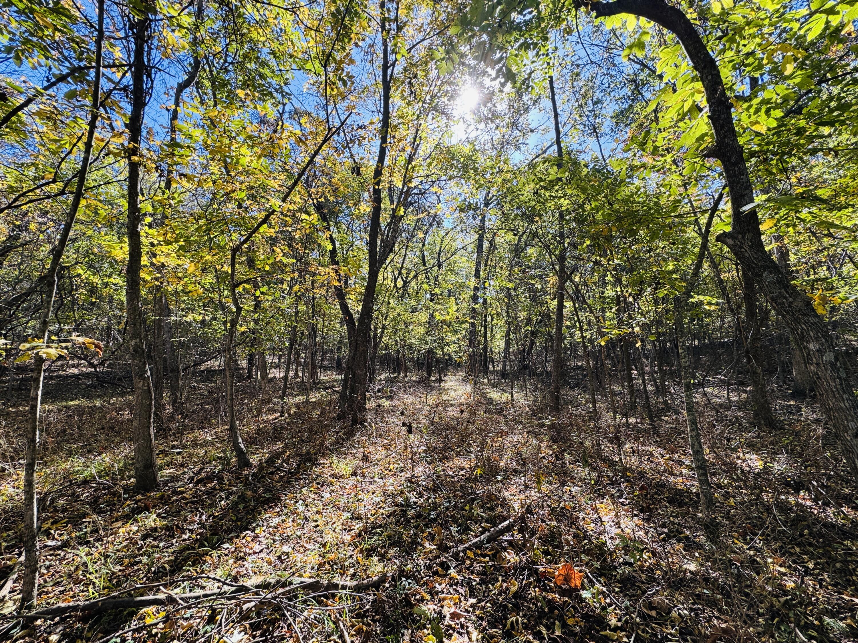 01a East Dade 12 Property Photo 2