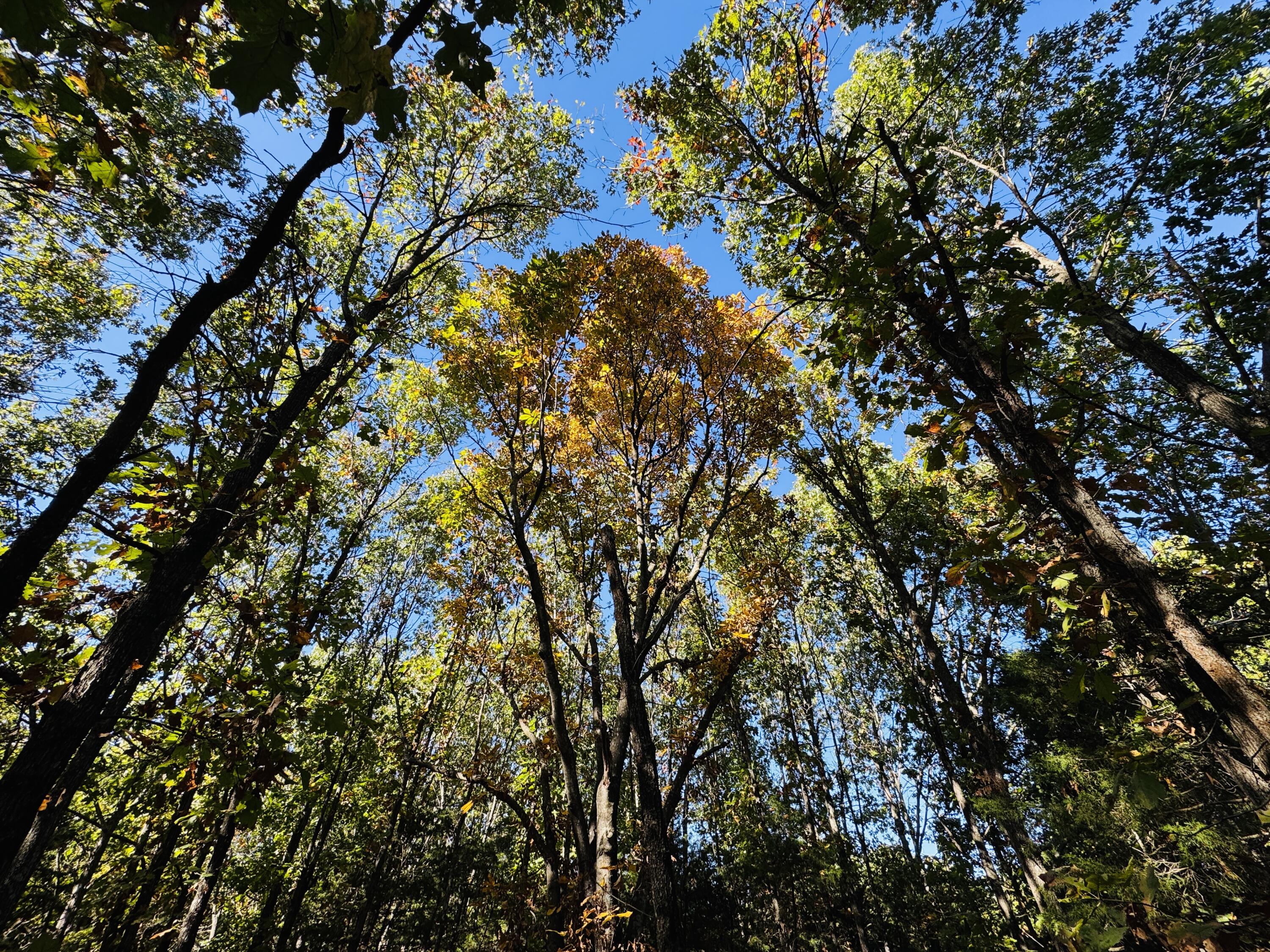 01a East Dade 12 Property Photo 3