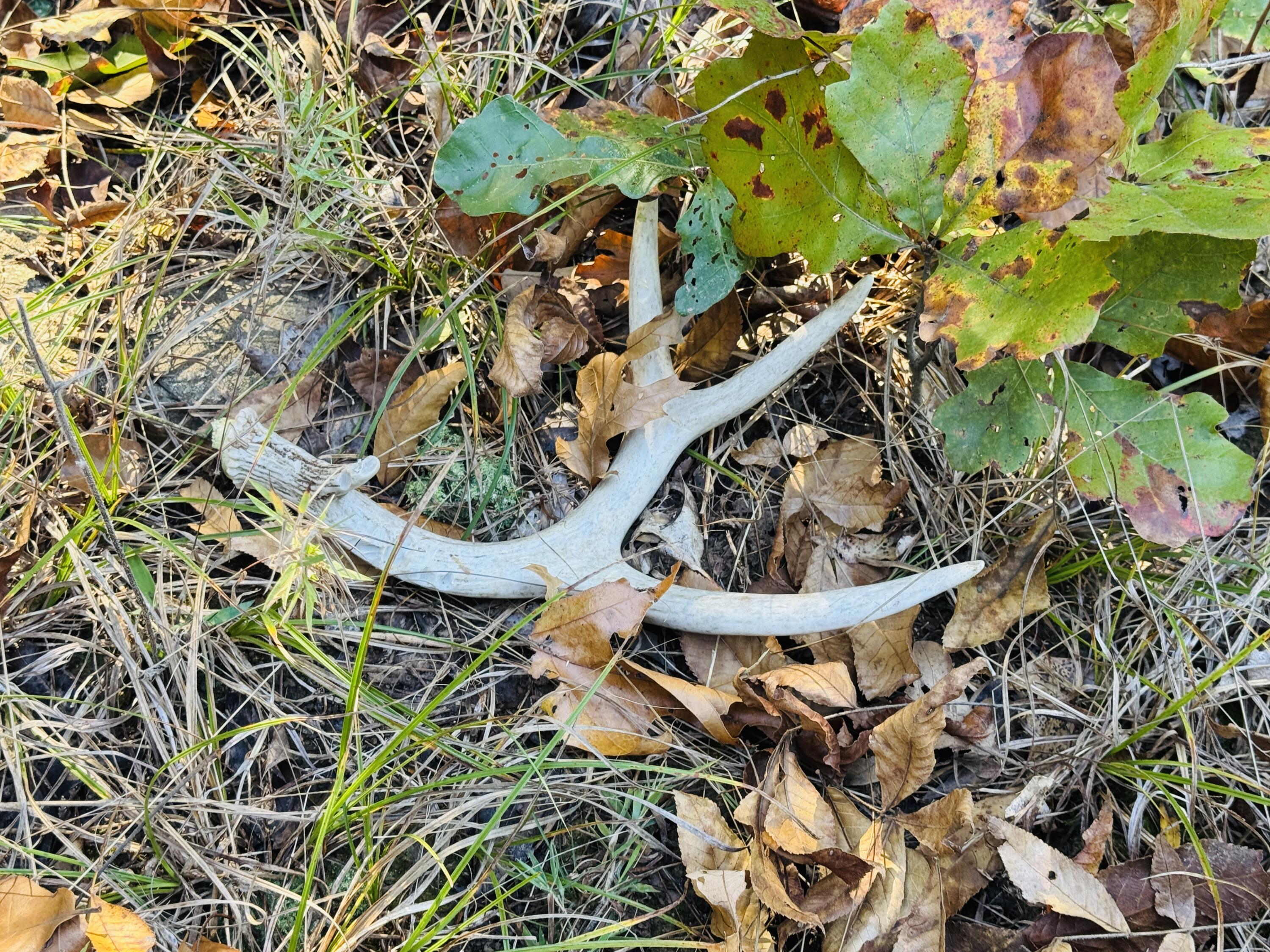 01a East Dade 12 Property Photo 4