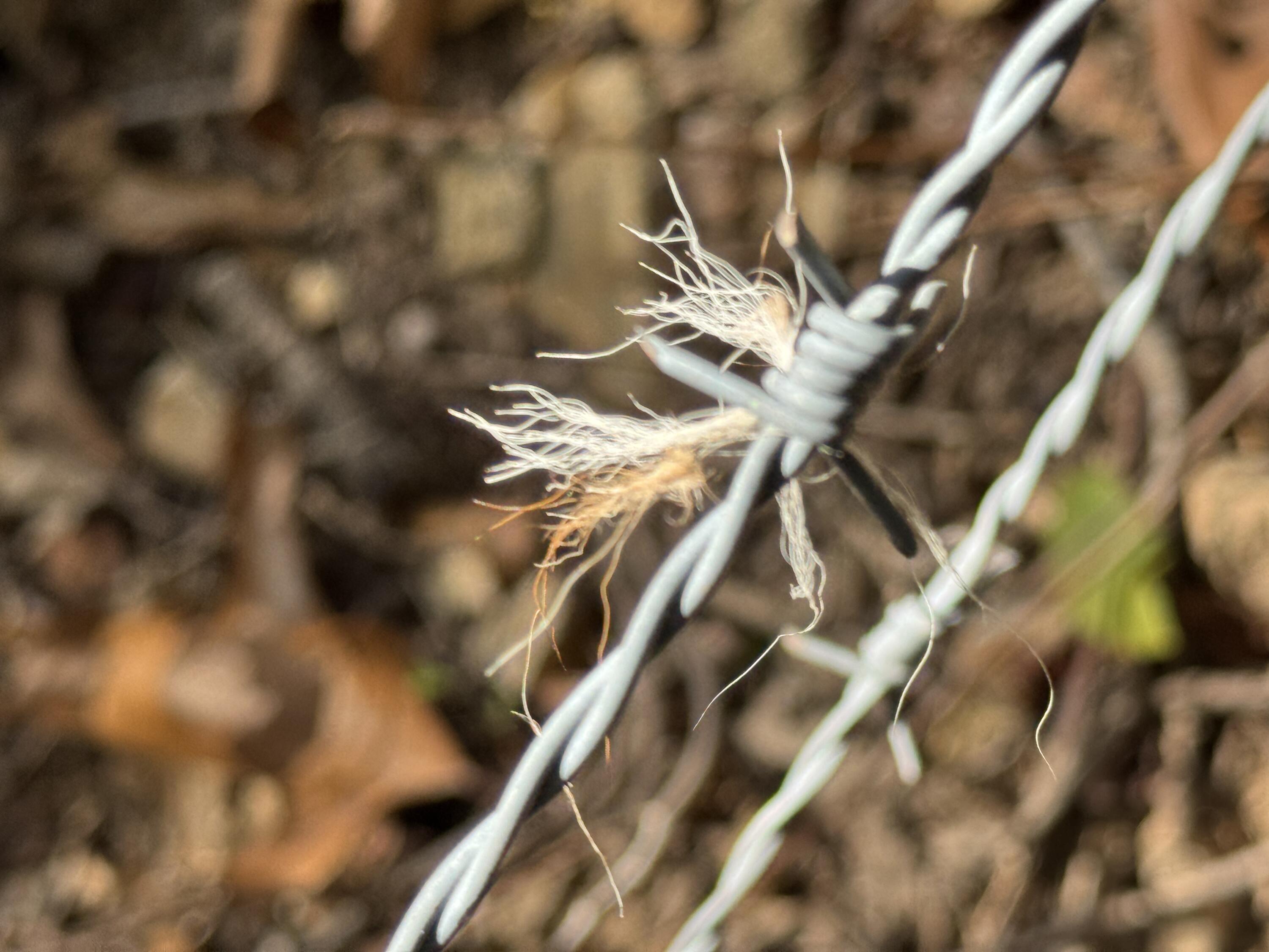 01a East Dade 12 Property Photo 5