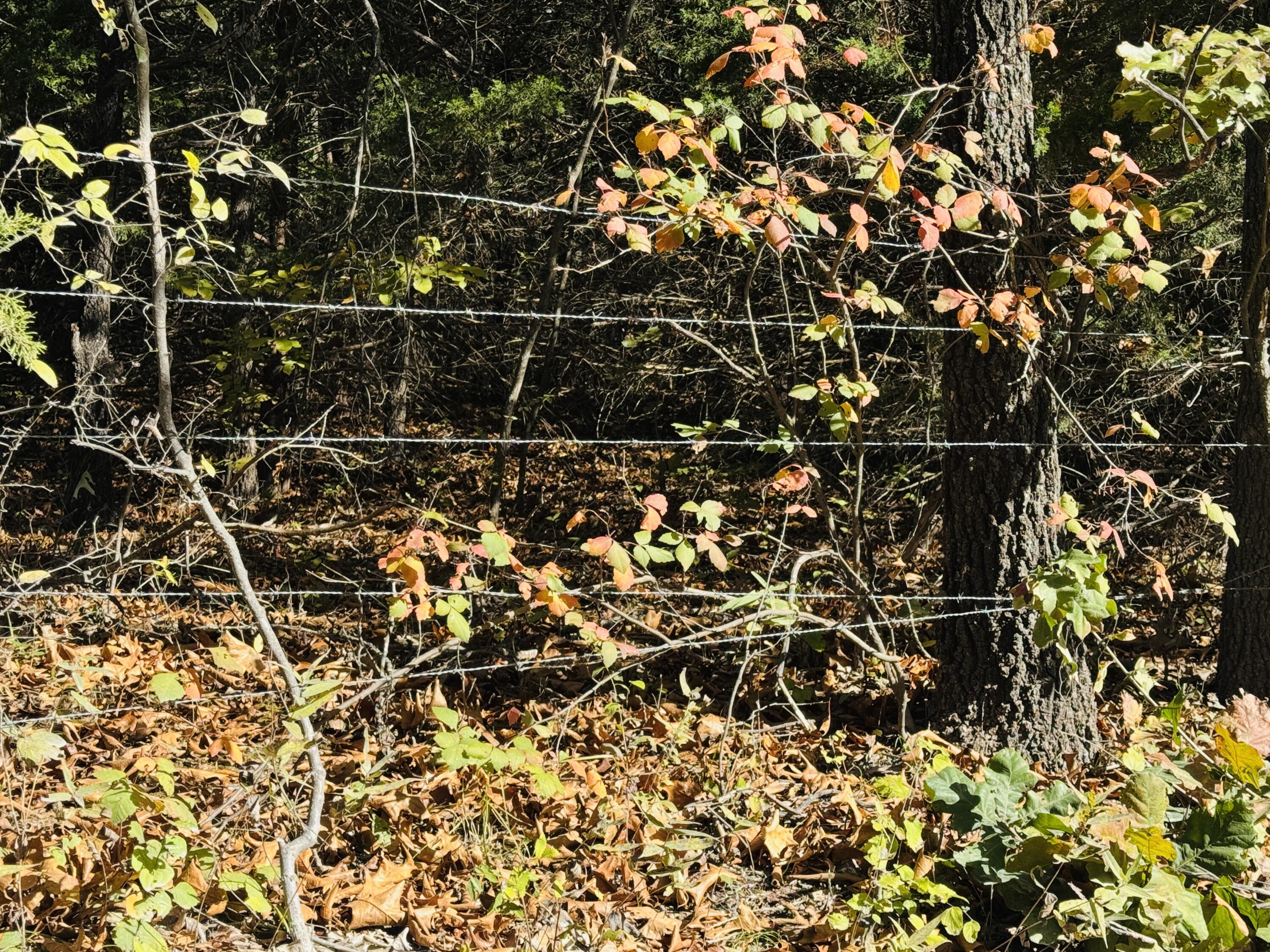 01a East Dade 12 Property Photo 6