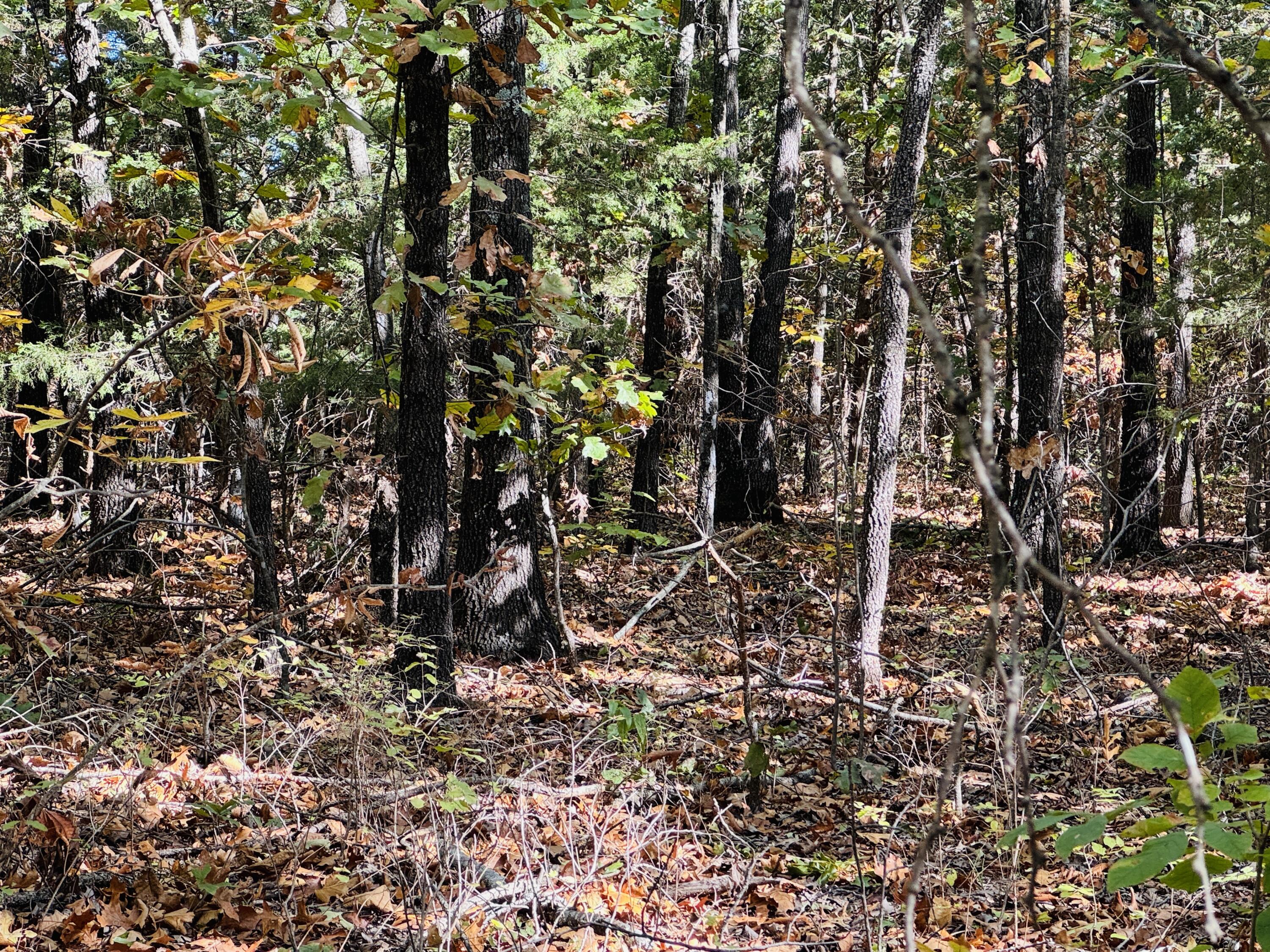 01a East Dade 12 Property Photo 7