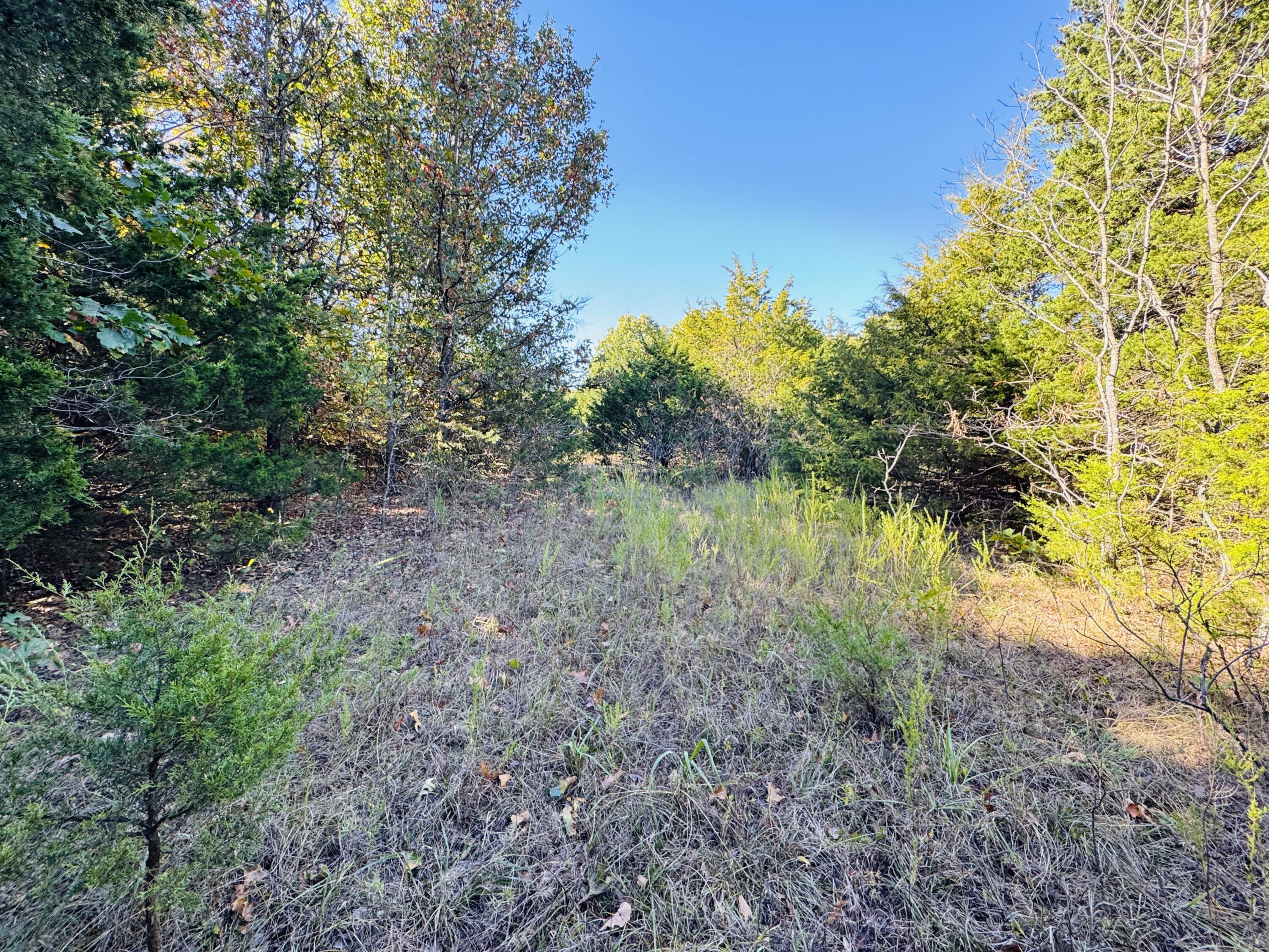 01a East Dade 12 Property Photo 8