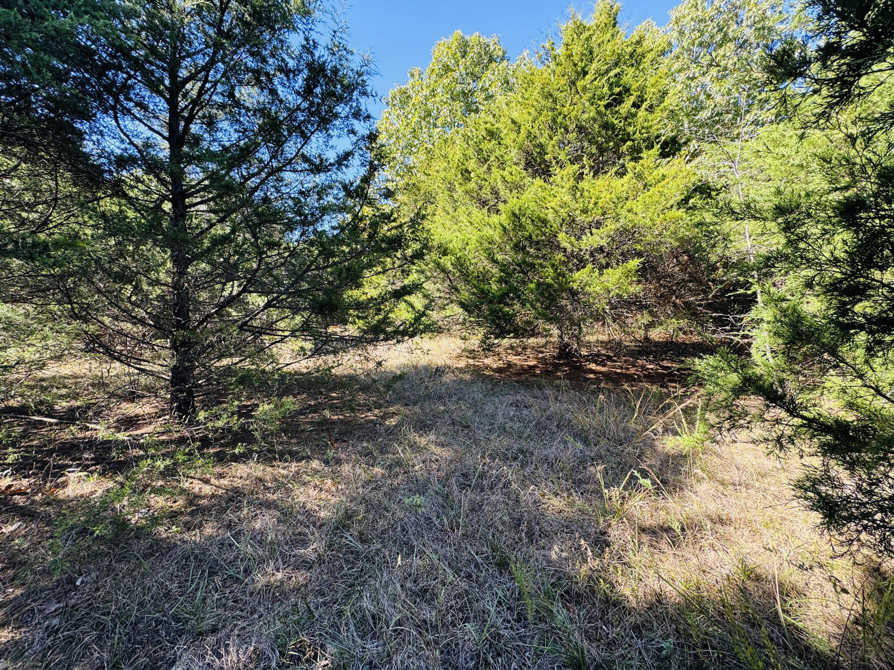 01a East Dade 12 Property Photo 9