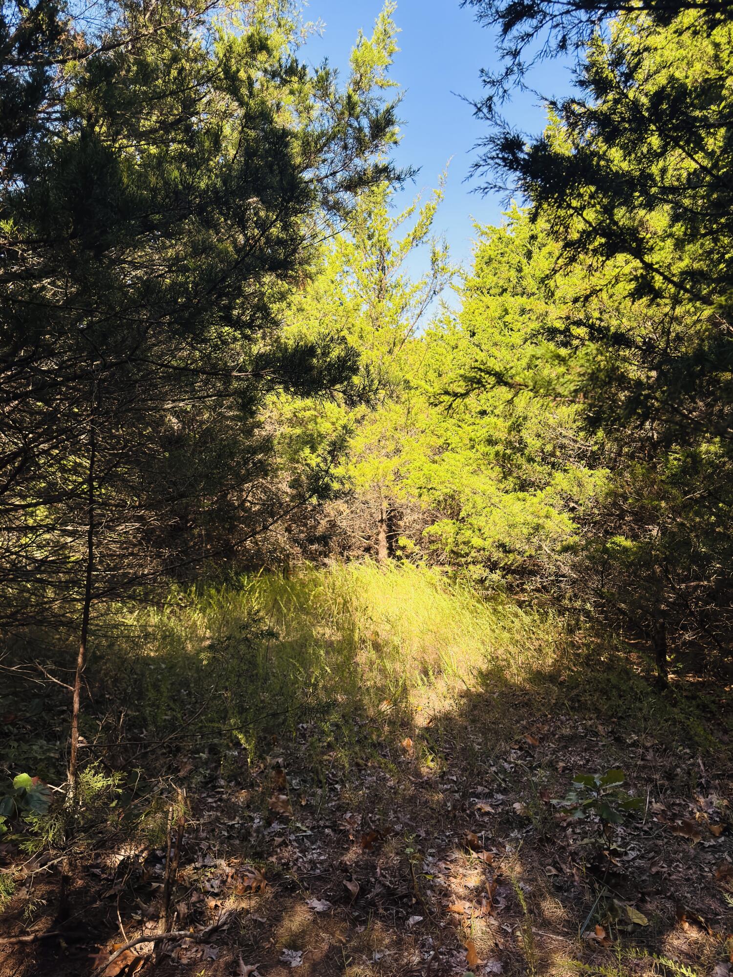 01a East Dade 12 Property Photo 10