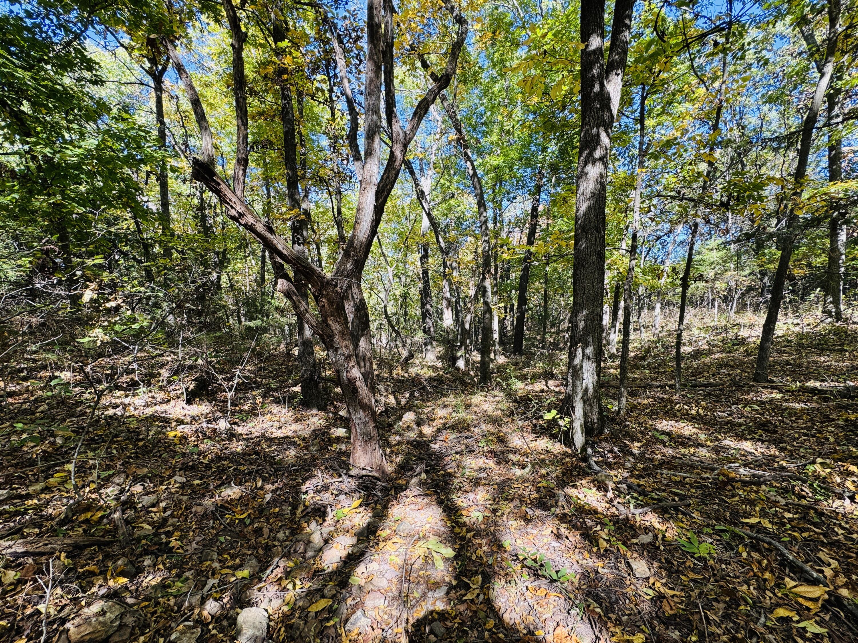 01a East Dade 12 Property Photo 11
