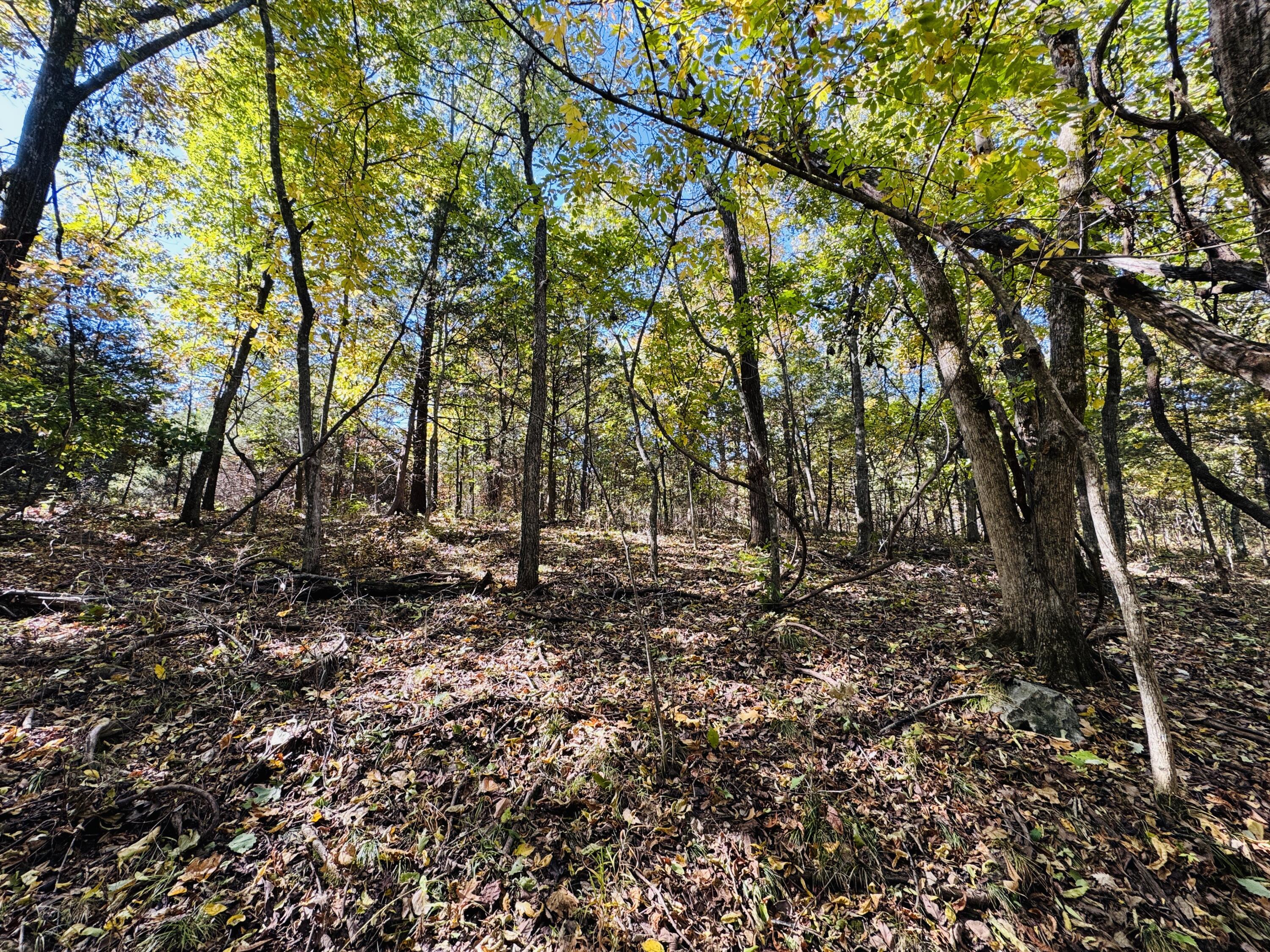 01a East Dade 12 Property Photo 12