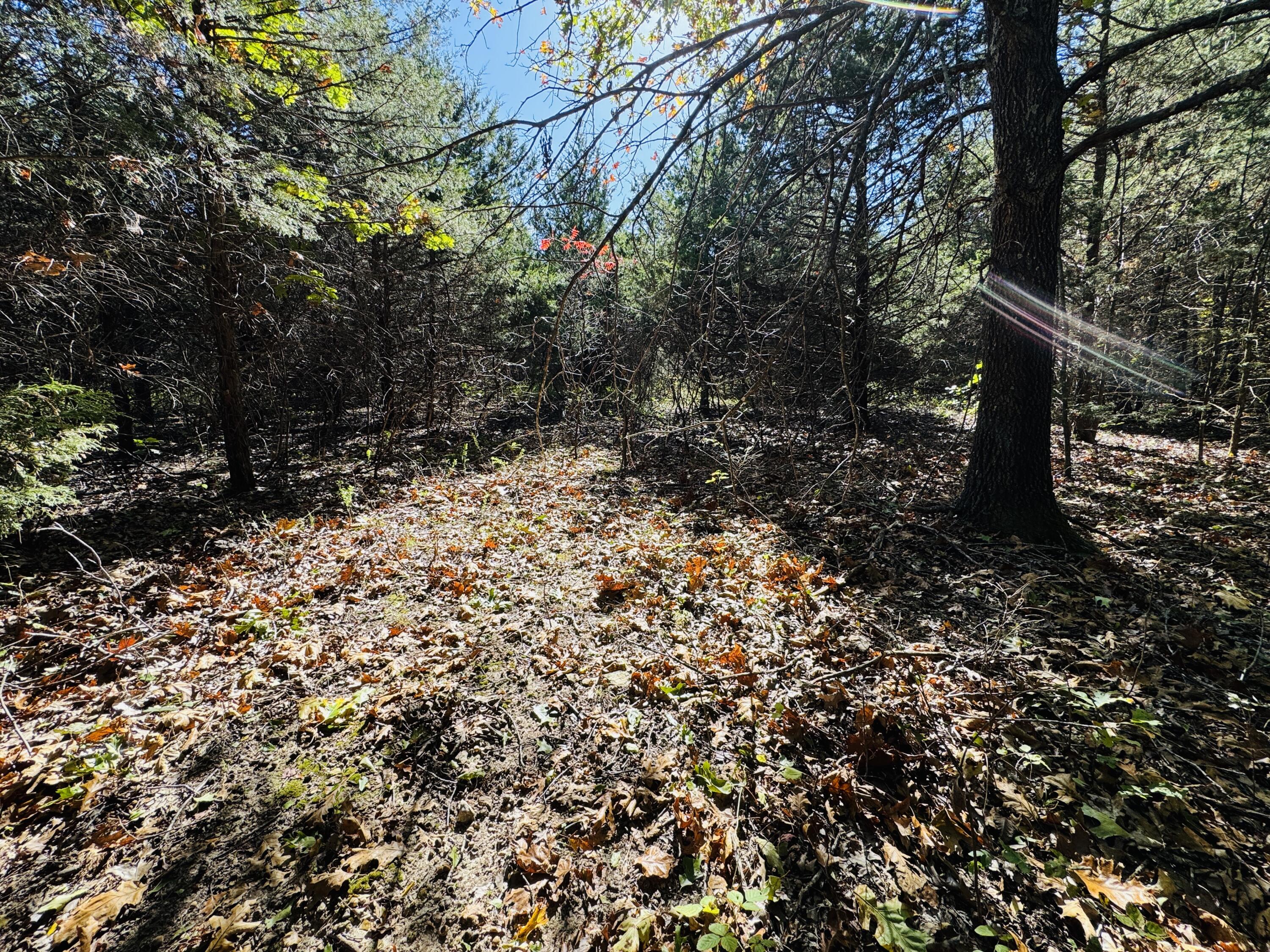 01a East Dade 12 Property Photo 13