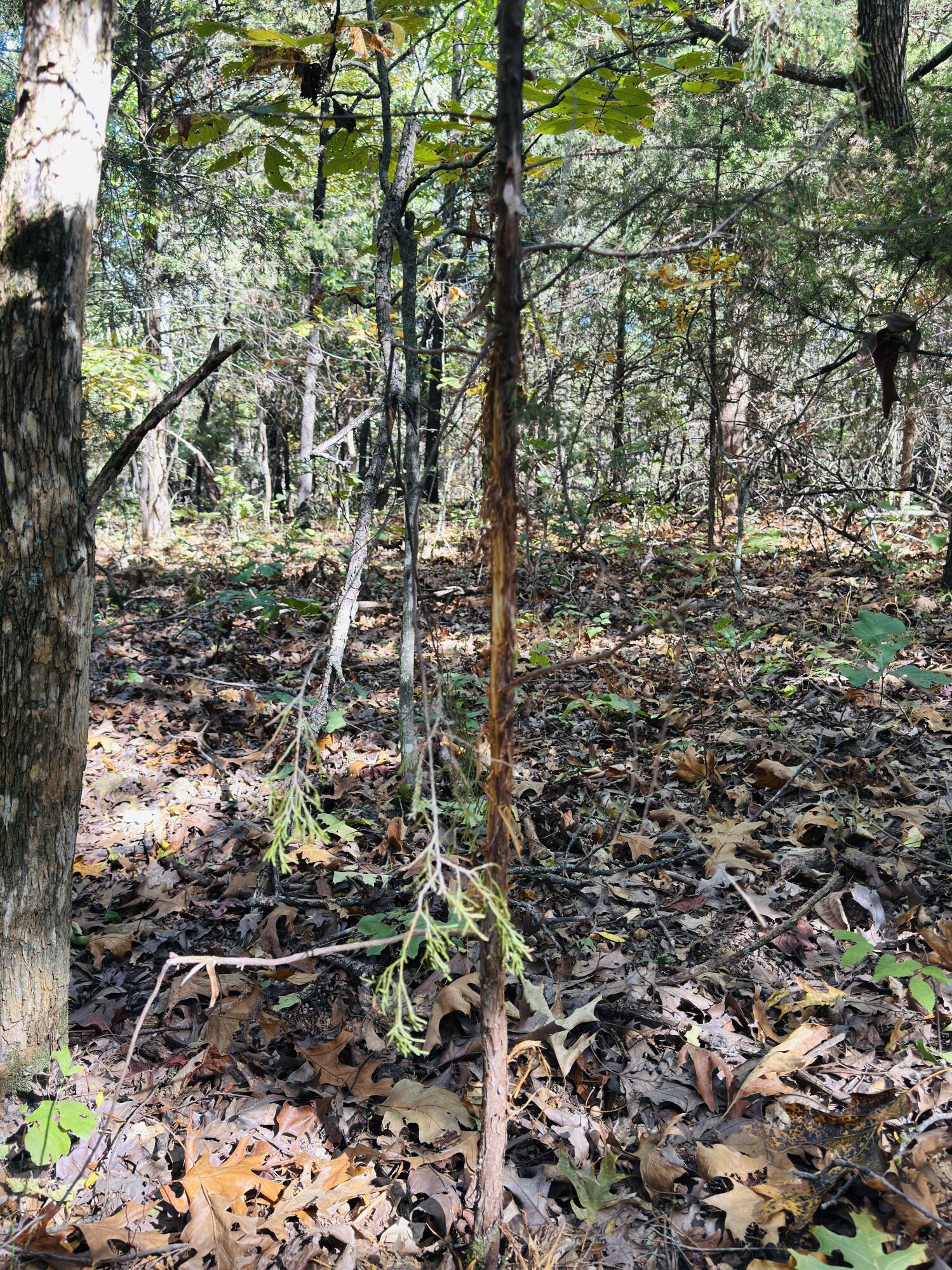 01a East Dade 12 Property Photo 14