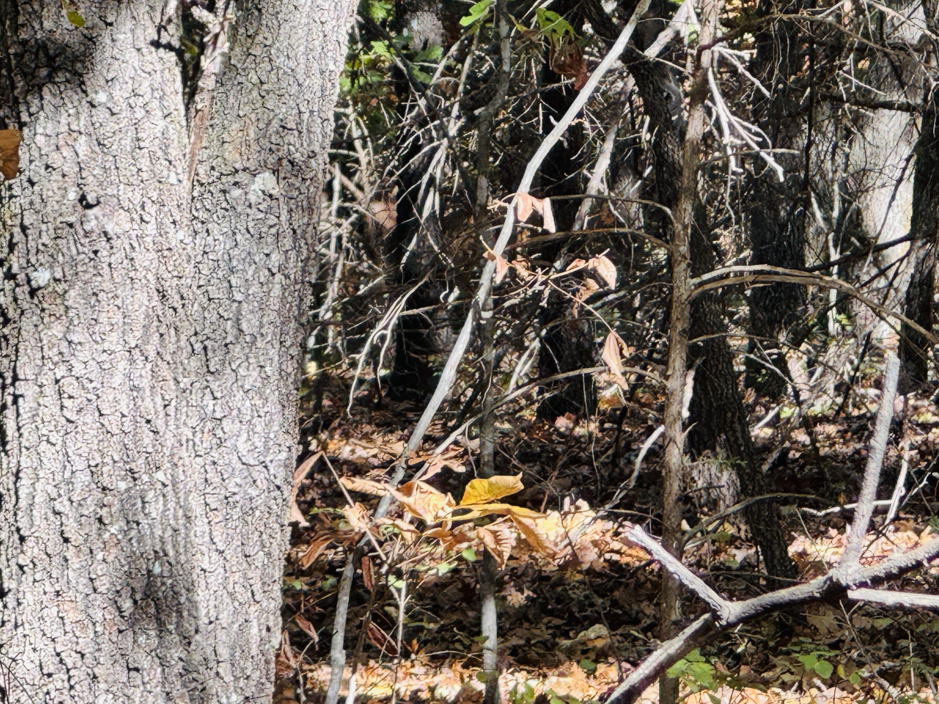 01a East Dade 12 Property Photo 15