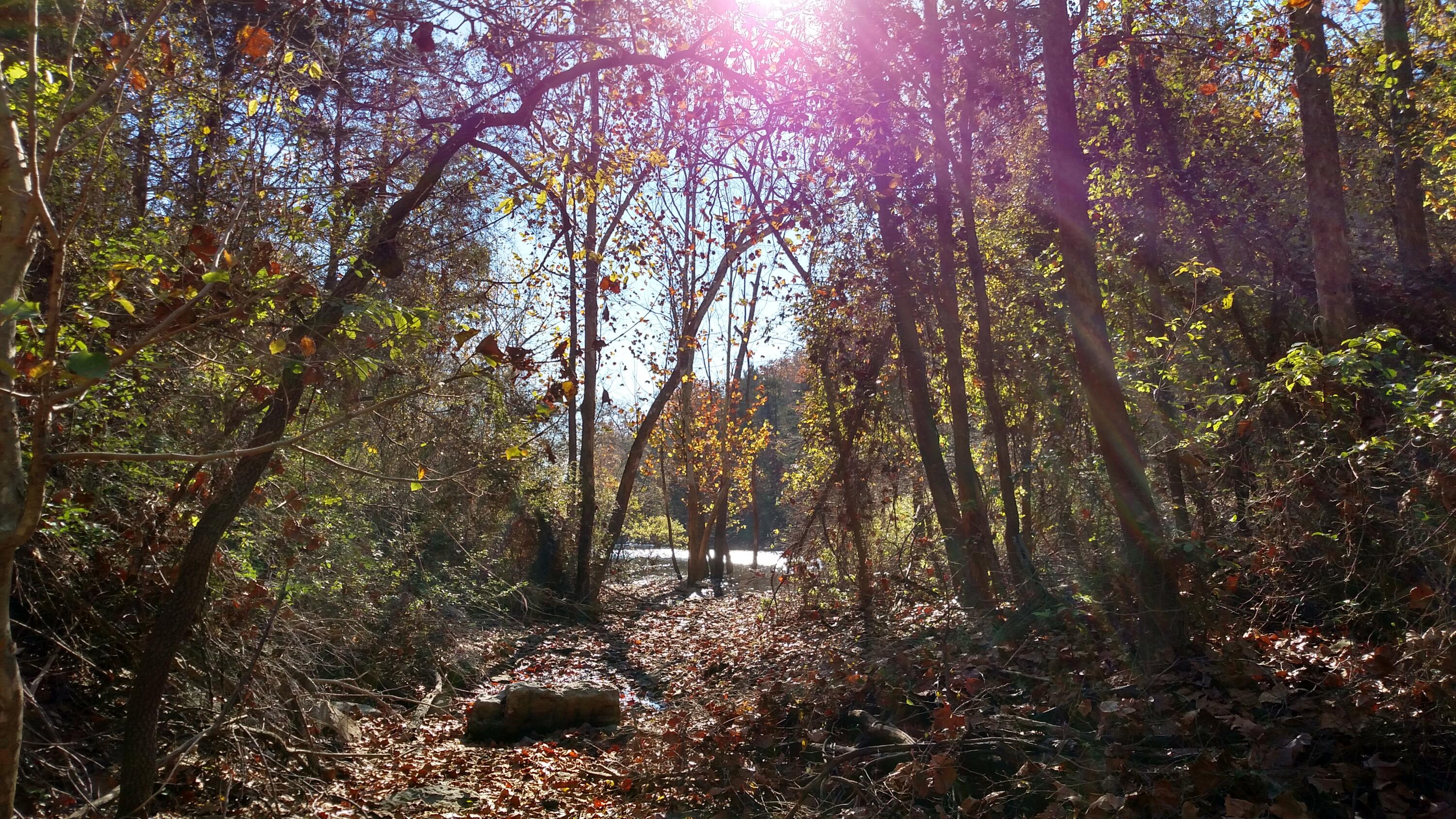 000 Buttermilk Spring Road Property Photo 1