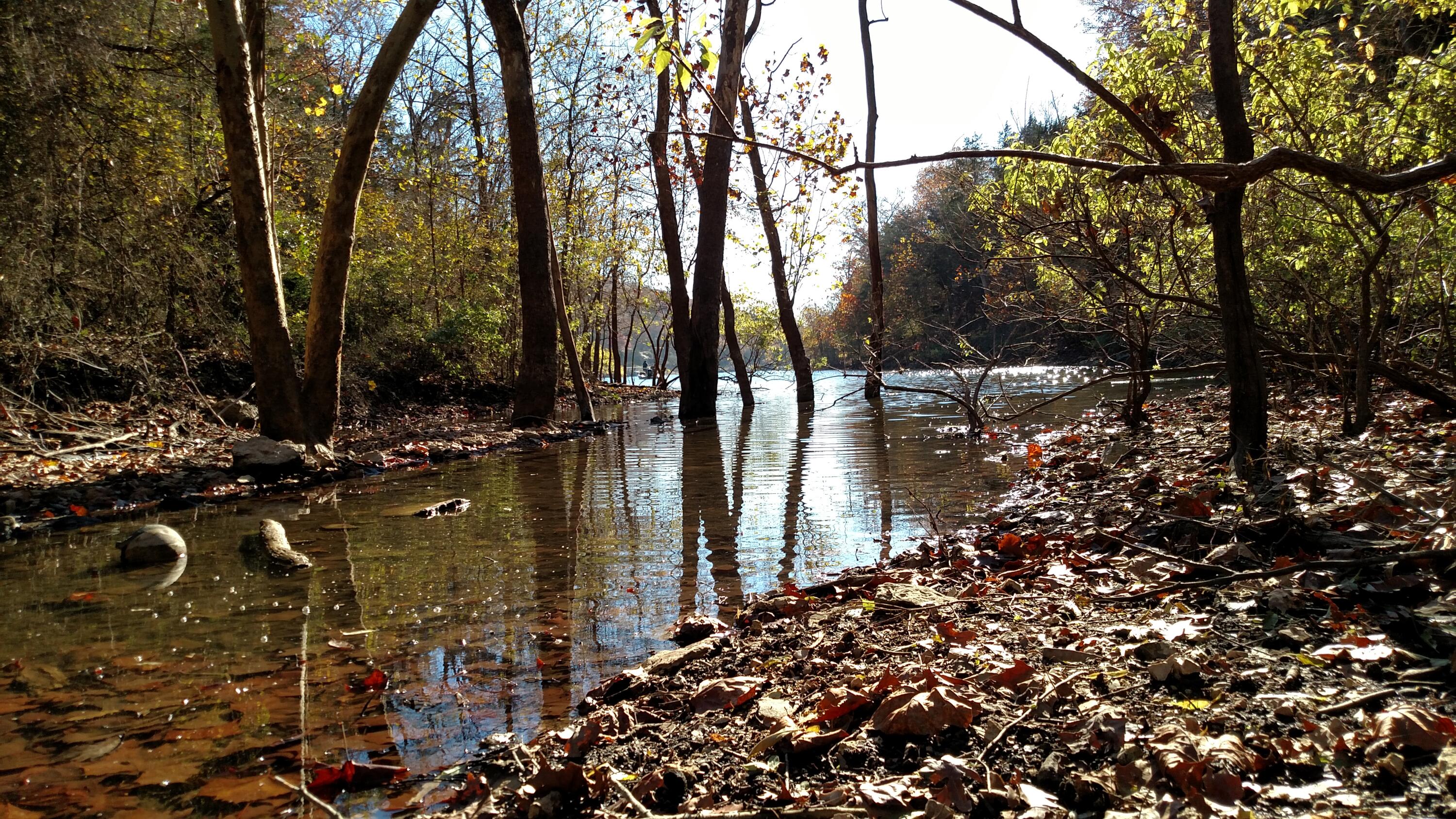 000 Buttermilk Spring Road Property Photo 2