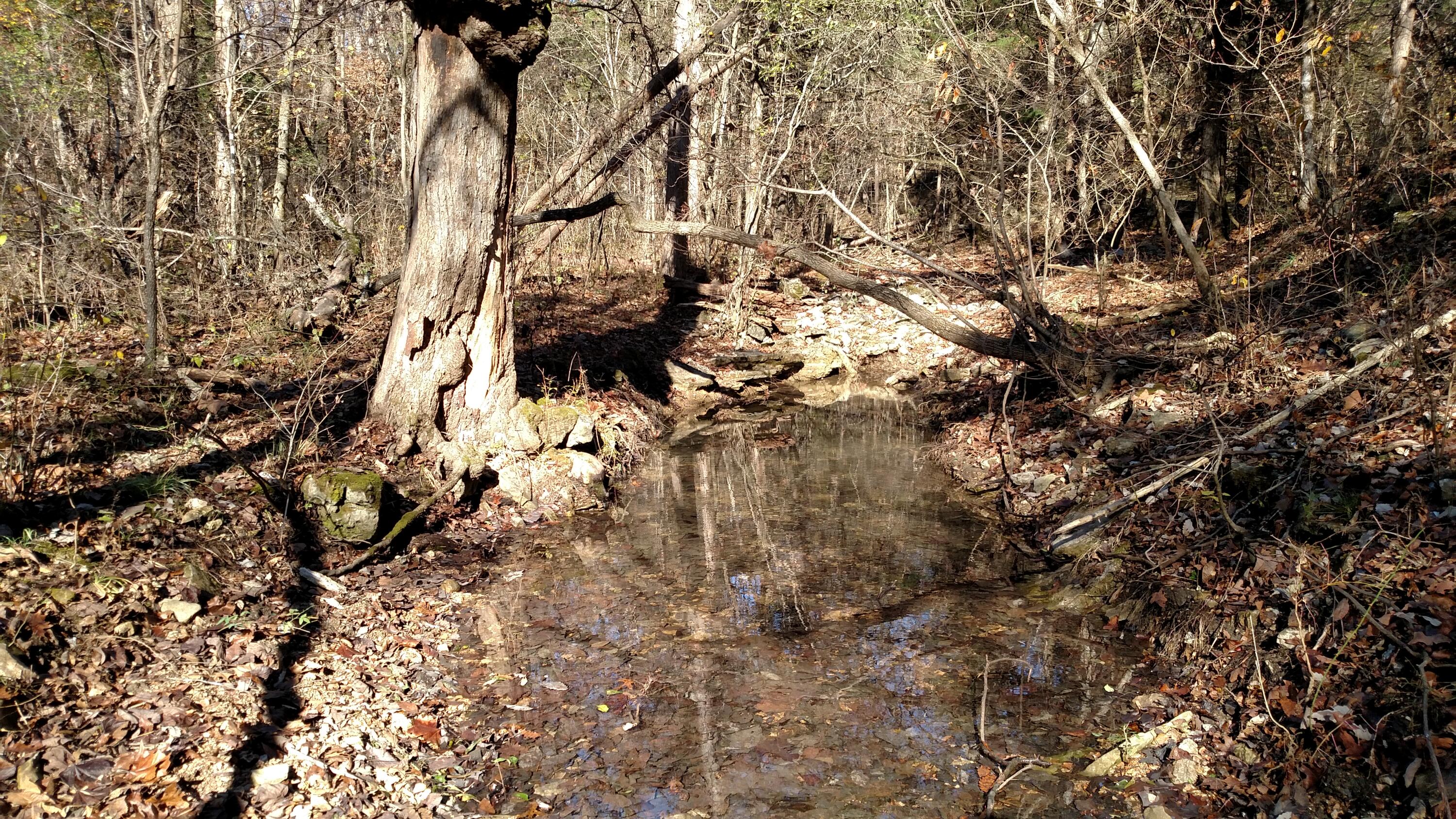 000 Buttermilk Spring Road Property Photo 3