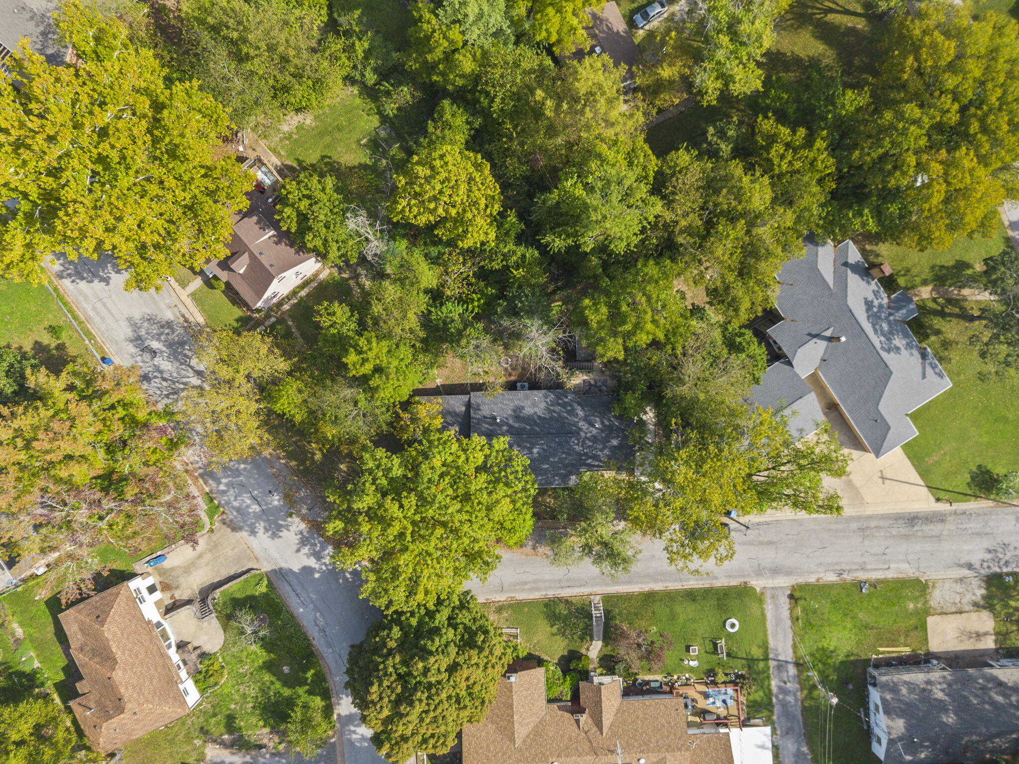 209 Mcfarland Street Property Photo 68