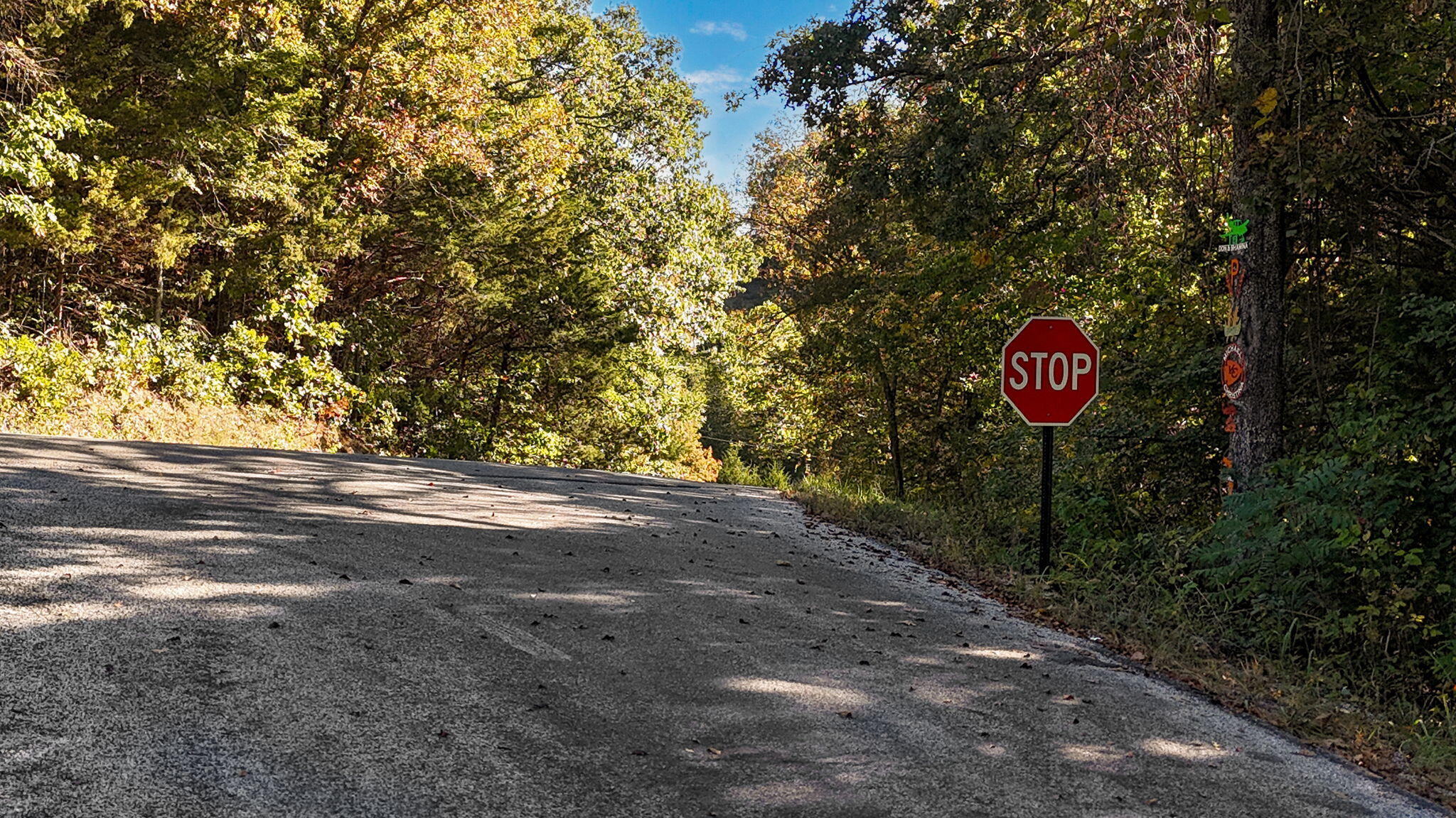 Tract 3 Everest Road Property Photo 23