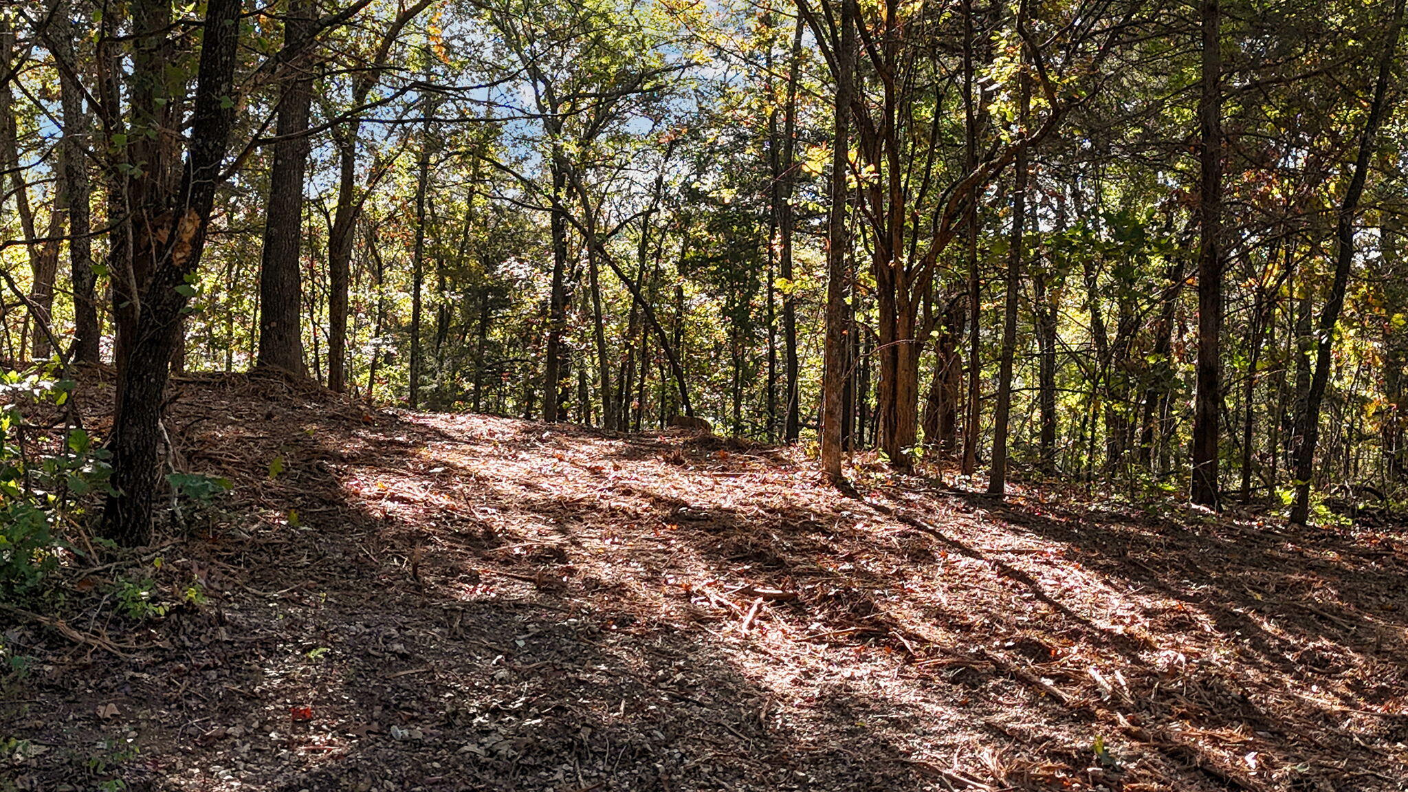 Tract 4 Everest Road Property Photo 4